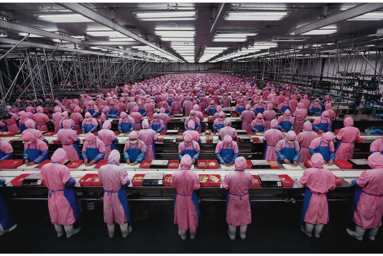 Edward Burtynsky  Manufacturing #17, Deda Chicken Processing Plant, Dehui City, Jilin, 2005  Chromogenic Colour print on Fuji Digital Crystal Archive paper; printed 2005  48 x 72 inches