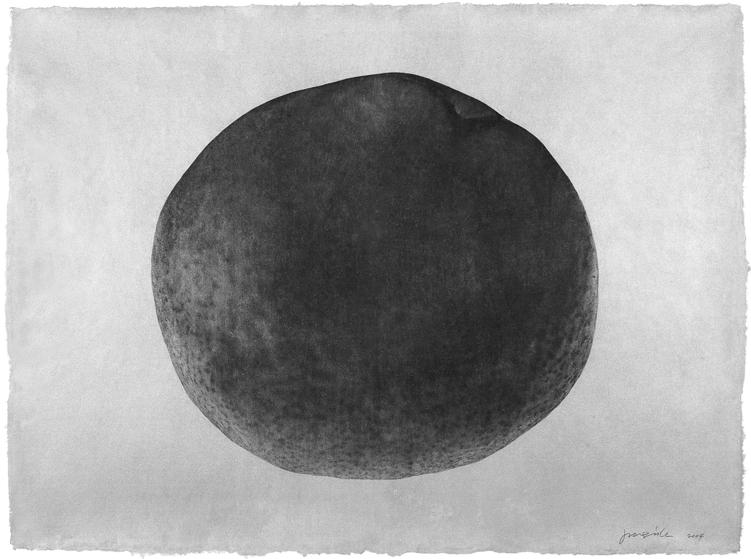 Jungjin Lee  Thing 03-11, 2003  Photograph on hand coated Korean Mulberry Paper   38 1/2 x 29 inches