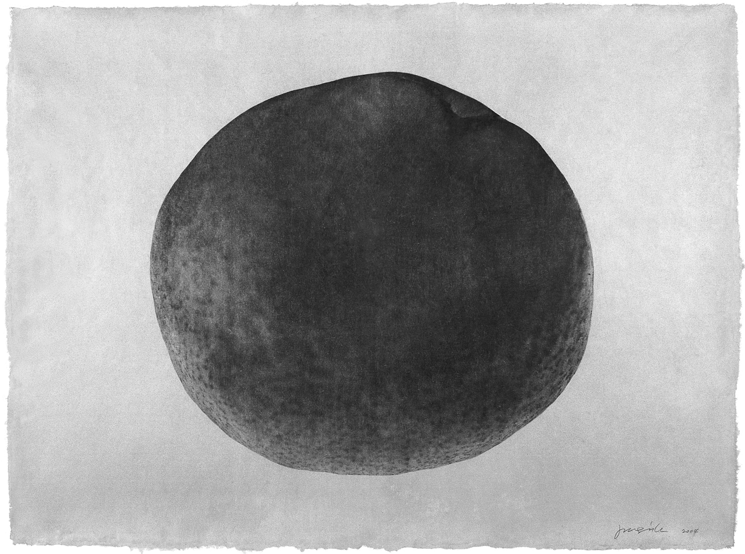 Thing 03-11, 2003  Gelatin silver print on hand coated Korean mulberry paper  38 1/2 x 29 inches