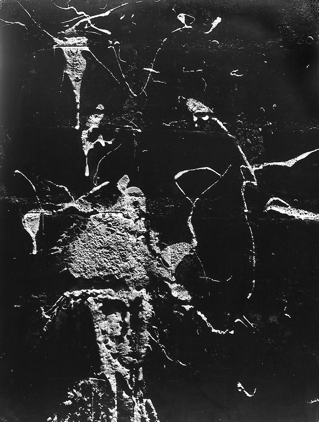 Chicago, 1948  Gelatin silver print; printed c.1956  16 x 13 3/8 inches