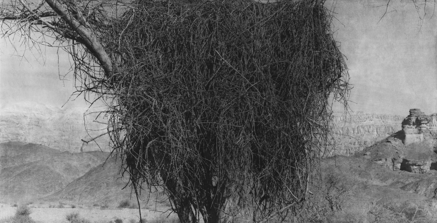 Unnamed Road 087, 2011  Archival pigment print  24 1/2 x 44 inches