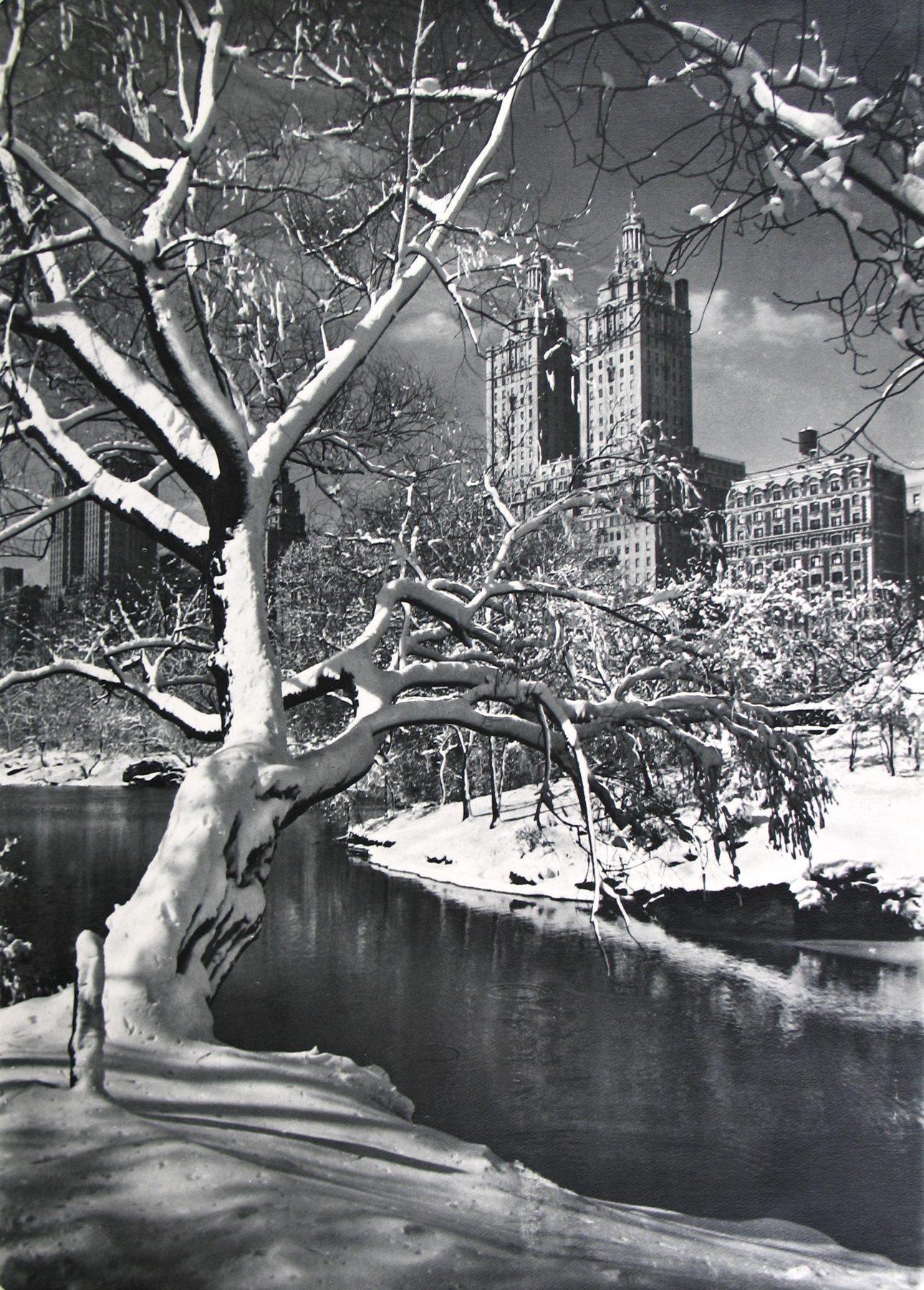 Adolf Fassbender - - Howard Greenberg Gallery