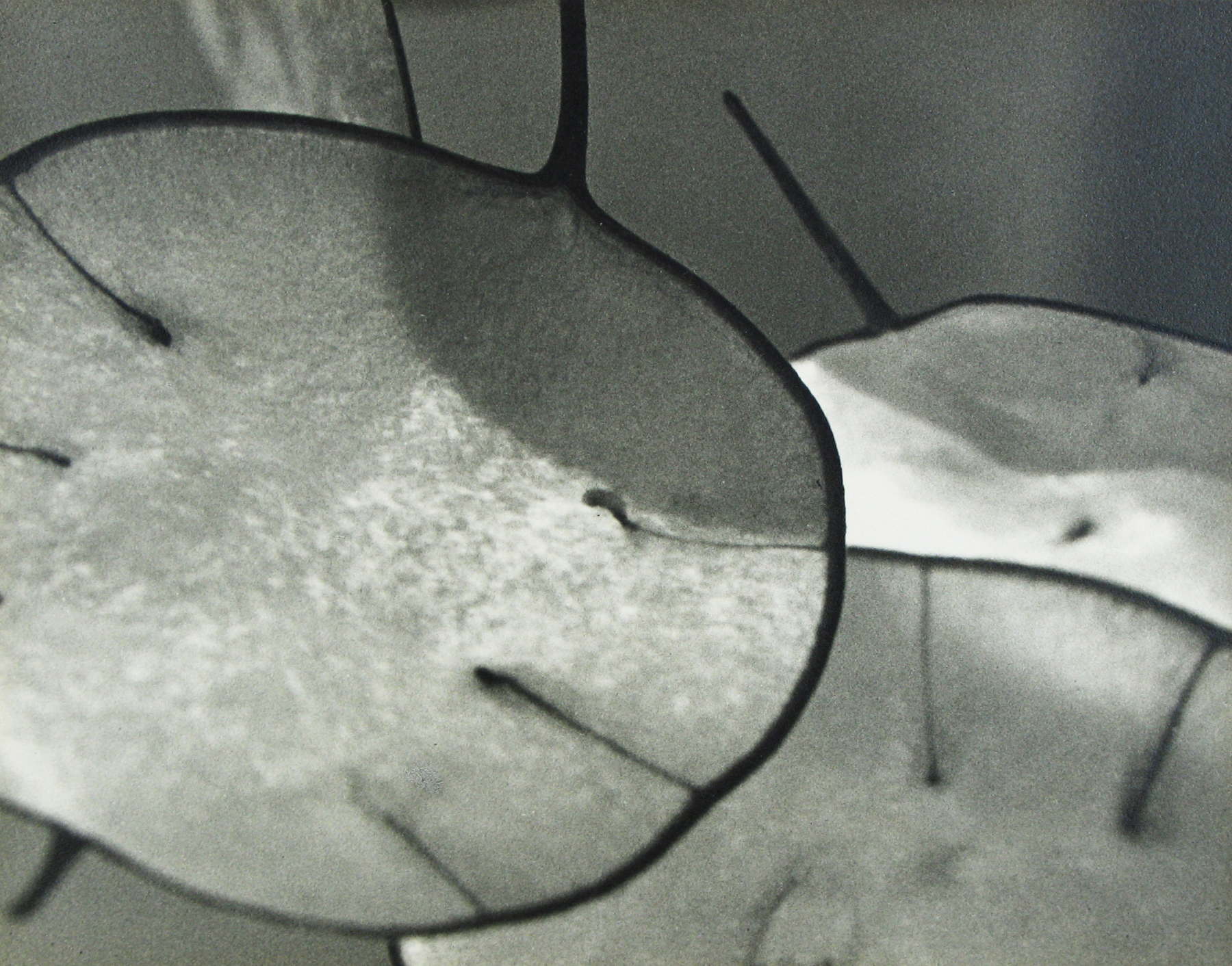 John Vanderpant - Honestly, Honesty, 1937 - Howard Greenberg Gallery