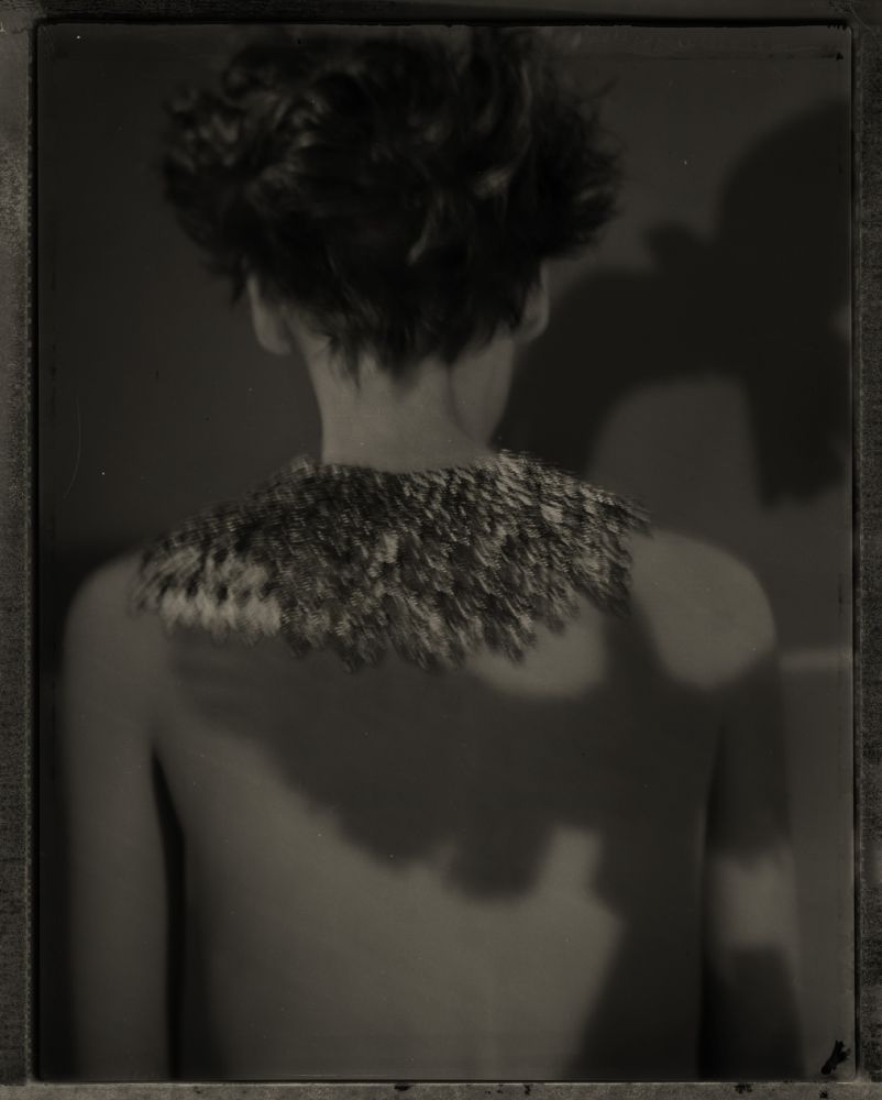 La Menace, 2008  Toned gelatin silver print  23 3/4 x 20 inches