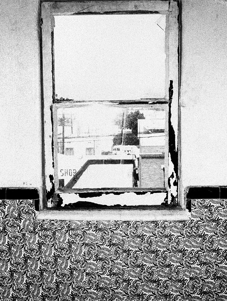 Steve Kahn Howard Greenberg Gallery