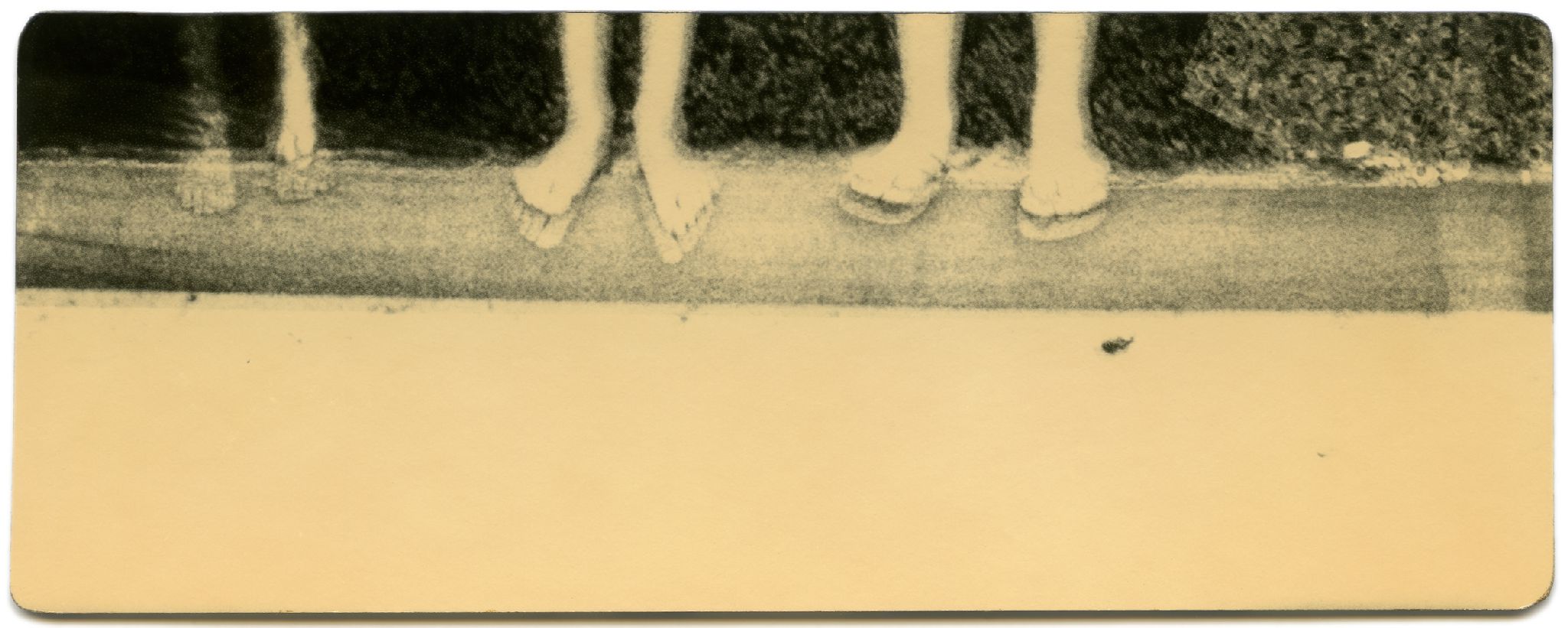 BK0371, 2018  Toned gelatin silver print  2 x 5 1/8 inches