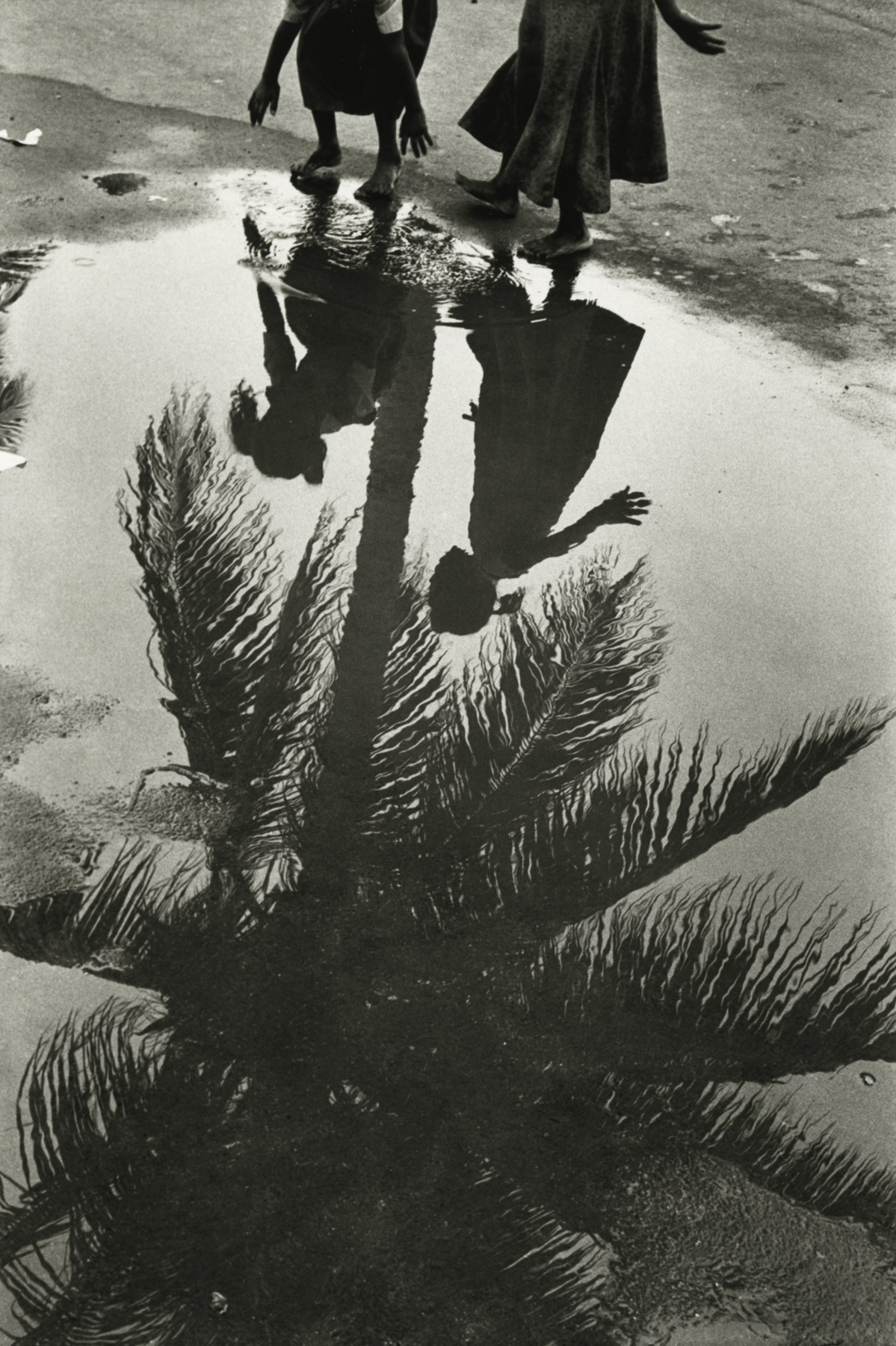 Betsy Karel - Marine Drive, 2001- Howard Greenberg Gallery