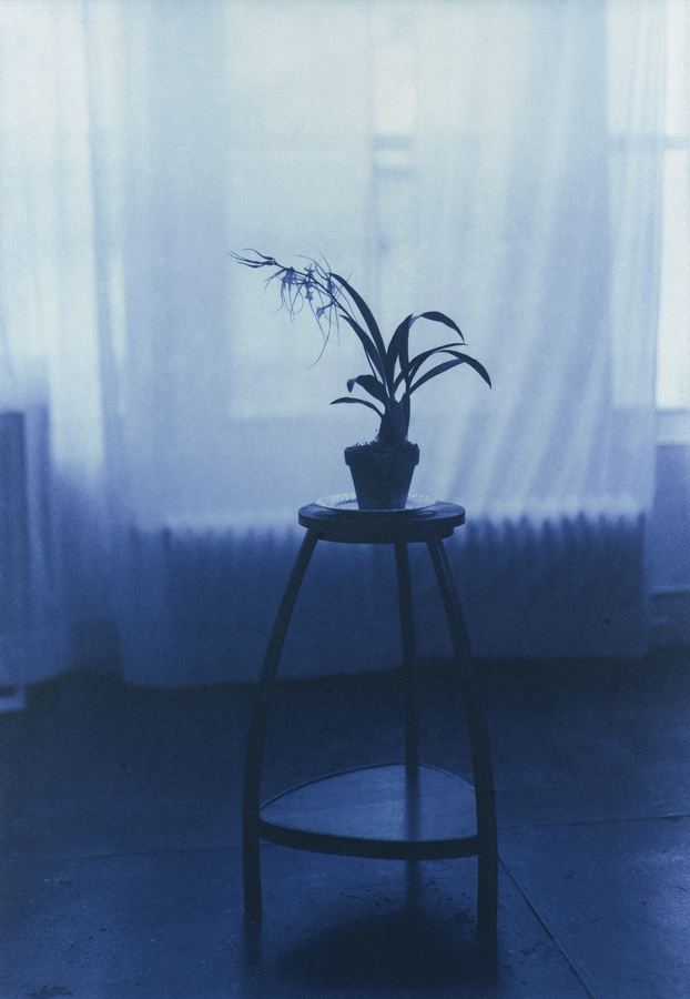 Kenro Izu - Blue #879B, 2002 - Howard Greenberg Gallery