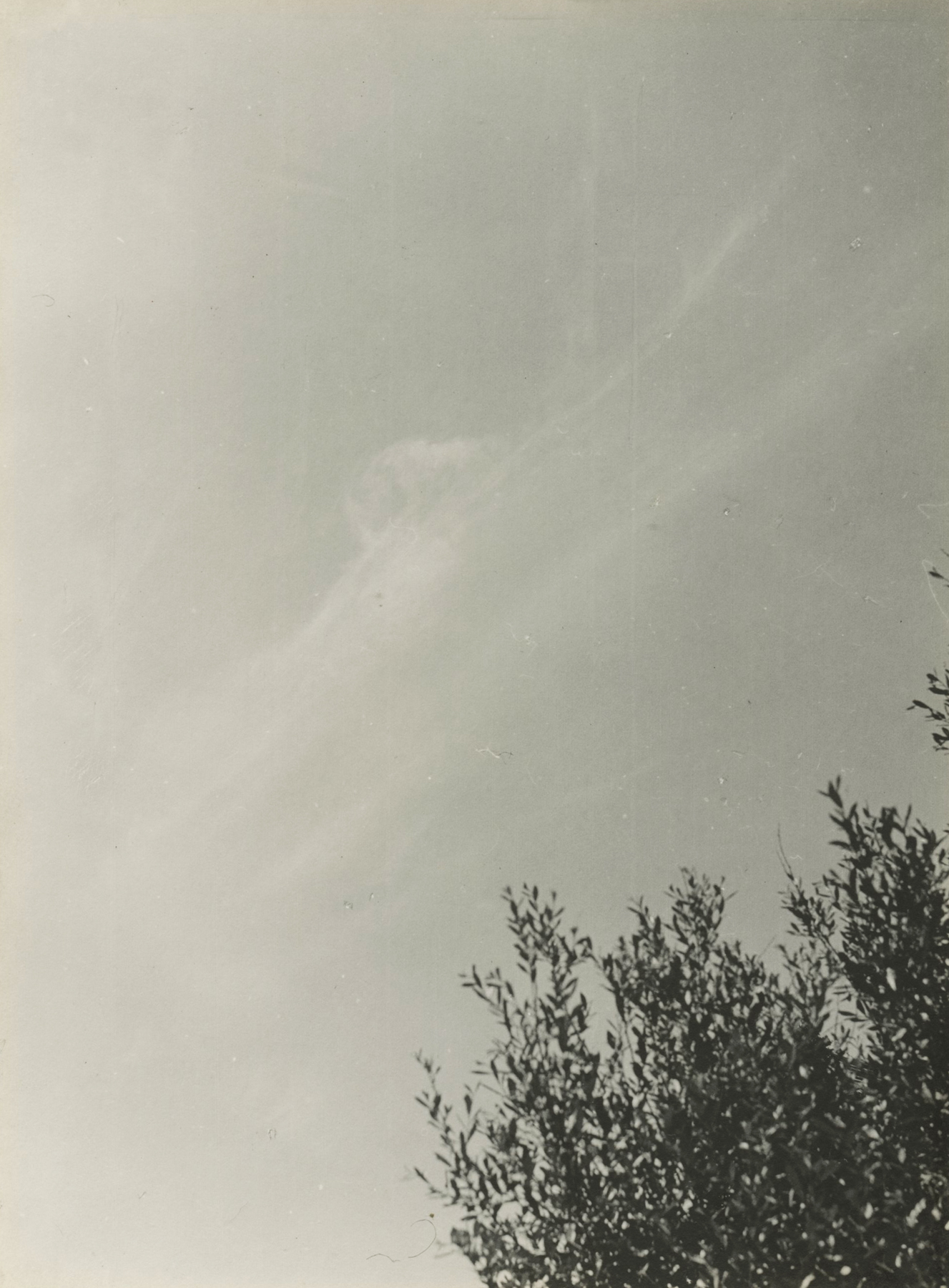 Dorothy Norman - Untitled - Wood's Hole, 1931 - Howard Greenberg Gallery