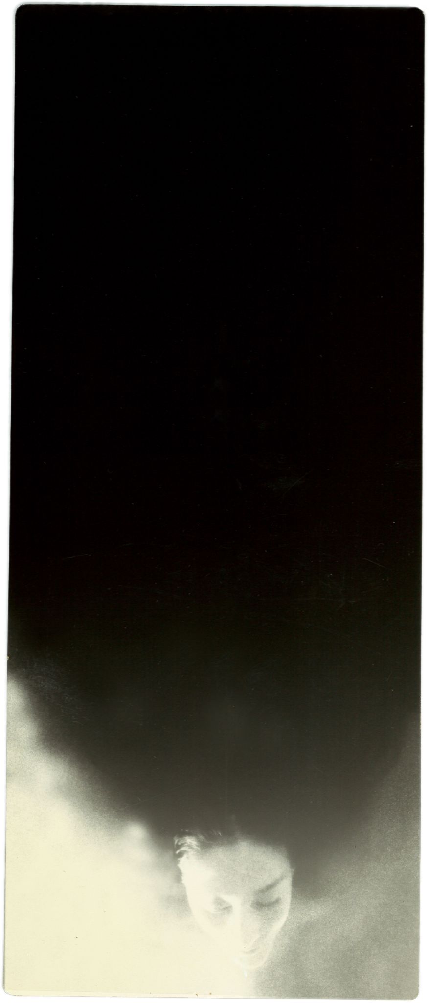 #0019, 2021  Toned gelatin silver print  11 4/5 x 5 1/8 inches