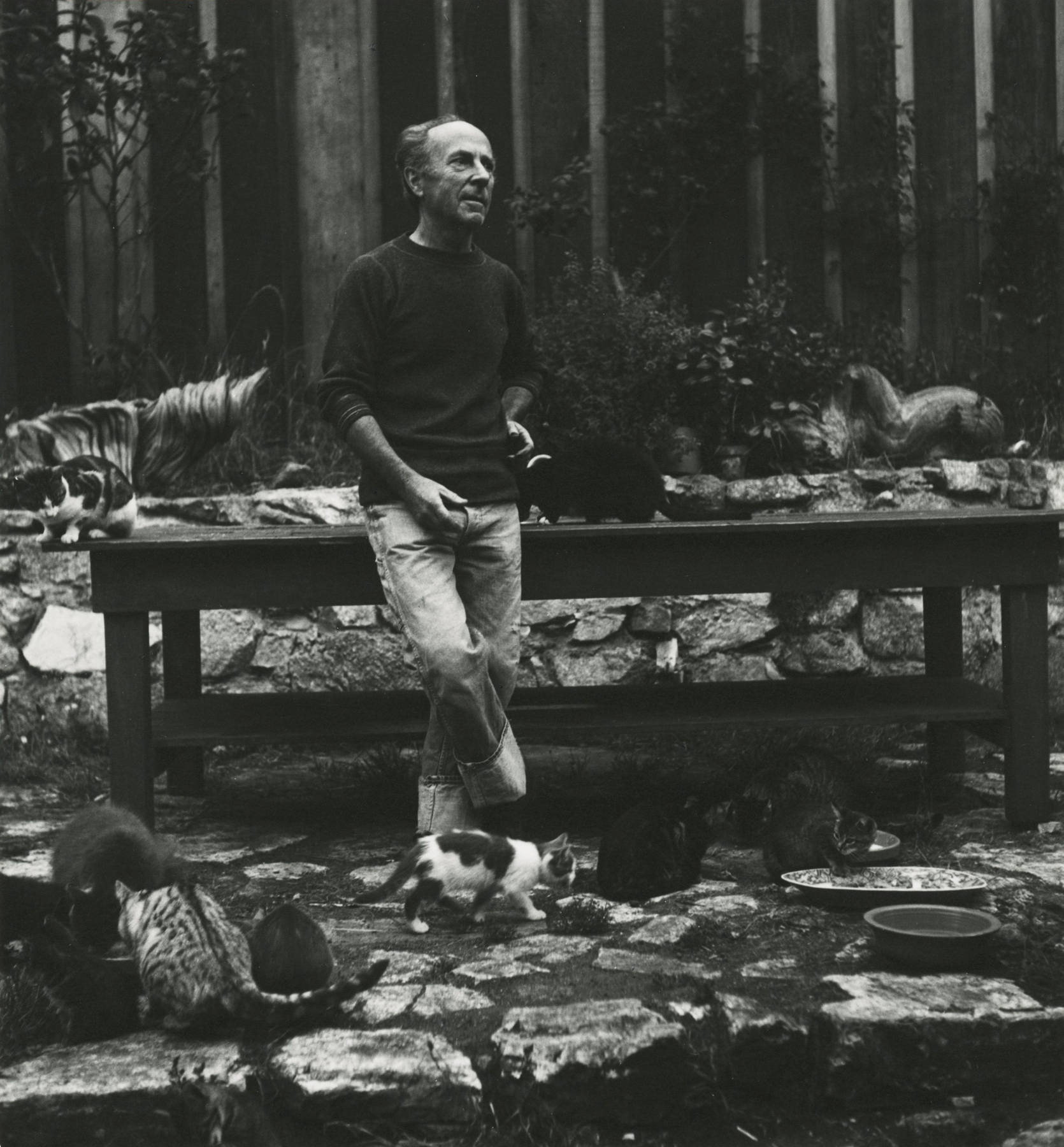 Imogen Cunningham - Edward Weston, Photographer, with his Cats, 1945 - Howard Greenberg Gallery