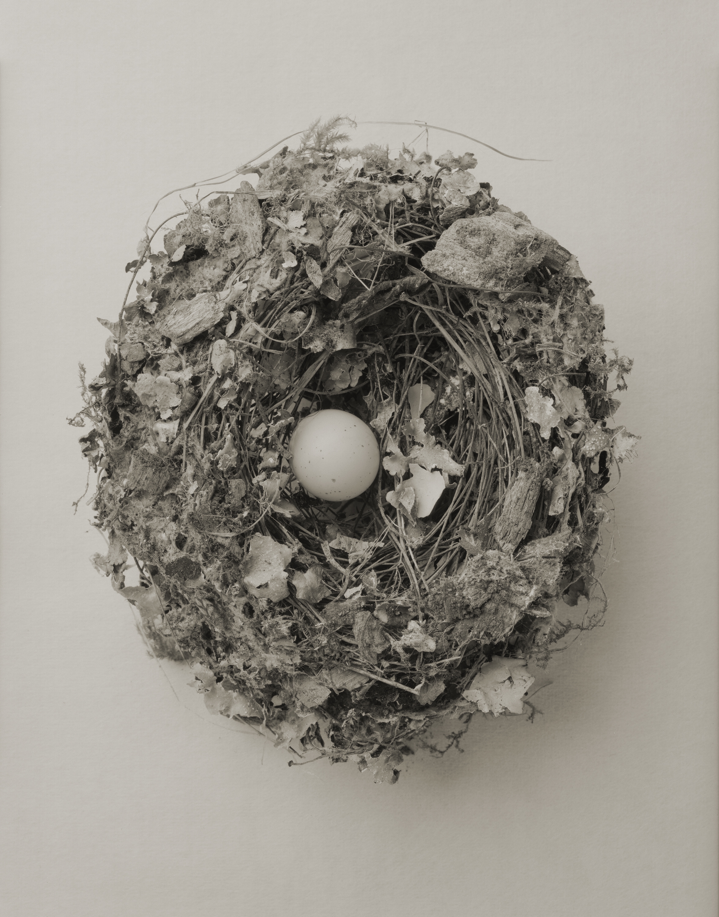 Yumiko Izu - Icarus - Howard Greenberg Gallery - 2018