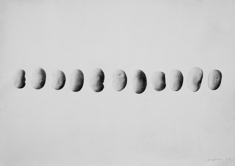 Thing 06-58, 2006  Photograph on hand coated Korean mulberry paper  39 1/2 x 29 inches