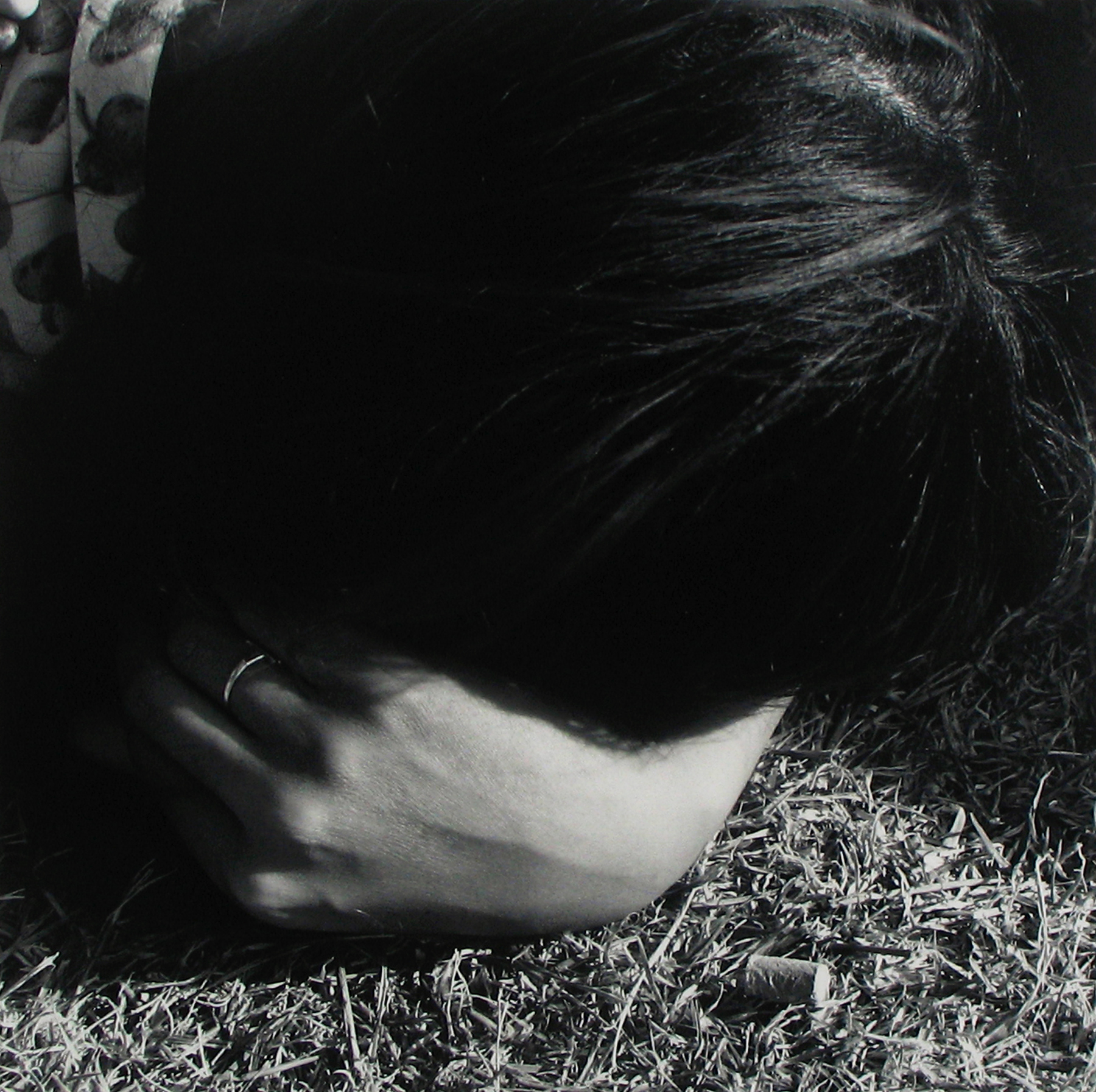 David Goldblatt - Zoo Lake, Johannesburg, 1975 - Howard Greenberg Gallery