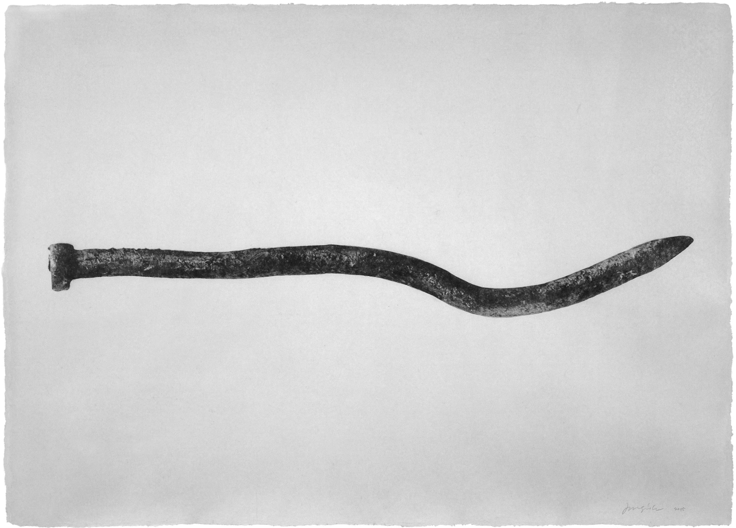 Thing 05-37, 2005  Photograph on hand coated Korean mulberry paper  38 1/2 x 29 inches