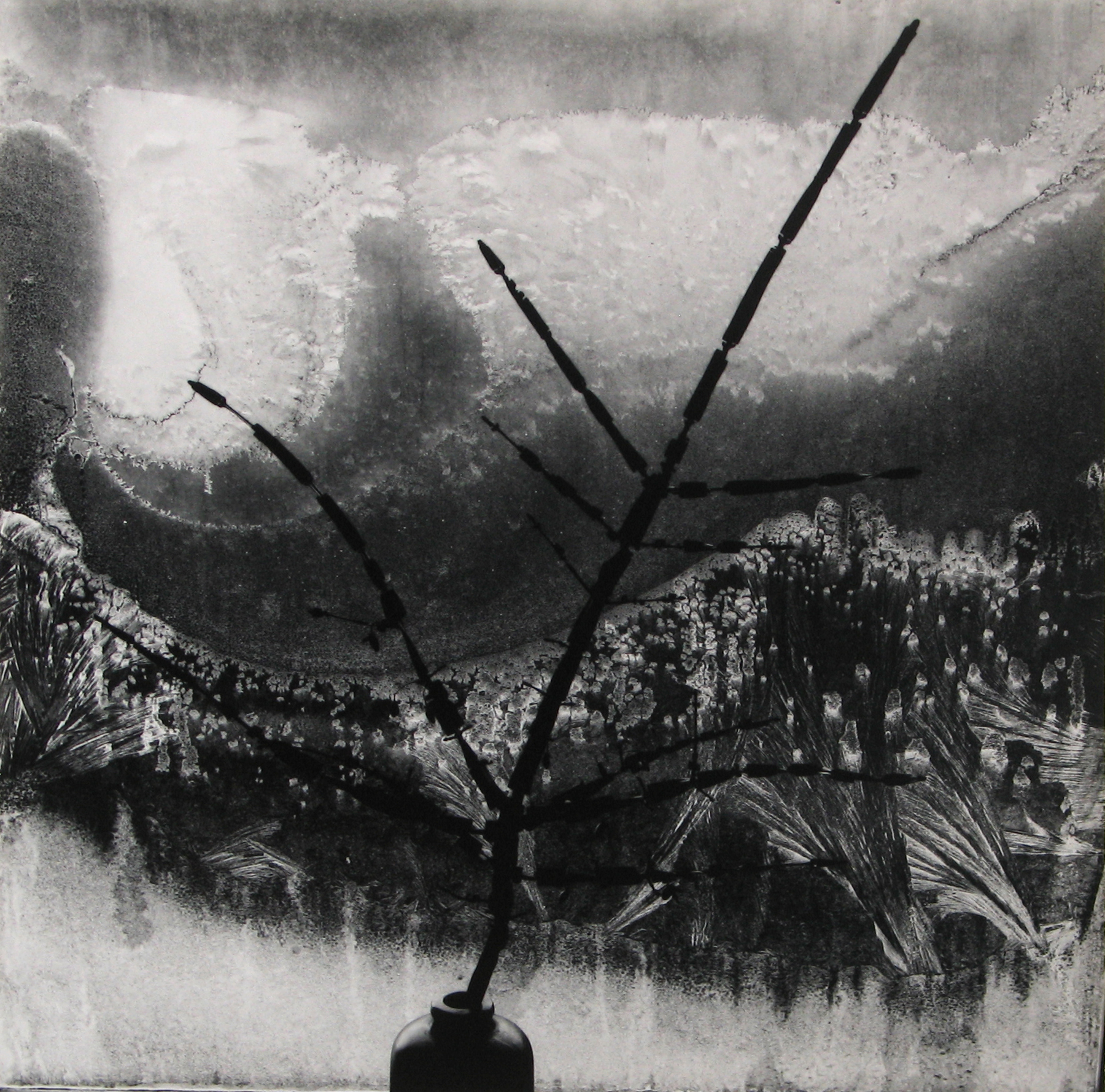 Minor White - Ritual Brach, 1958 - Howard Greenberg Gallery