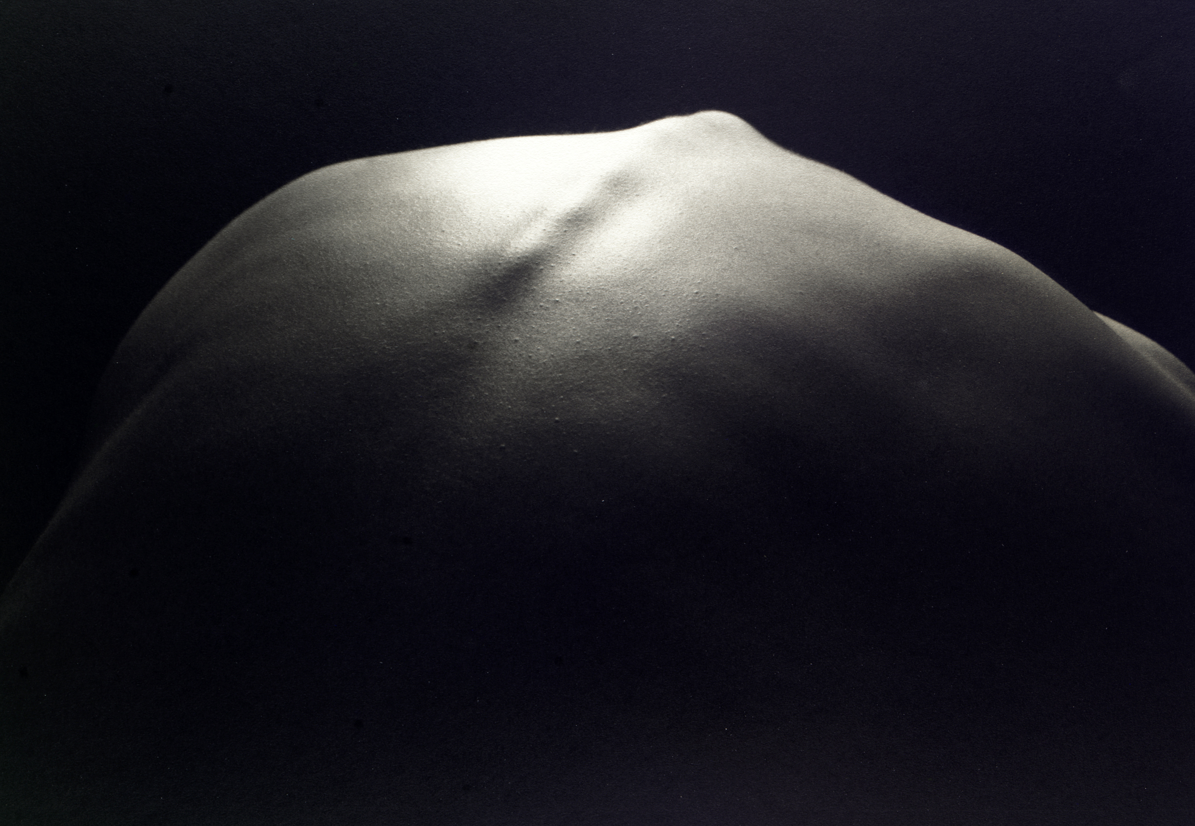 Kenro Izu - Still Life #449, 1993 - Howard Greenberg Gallery