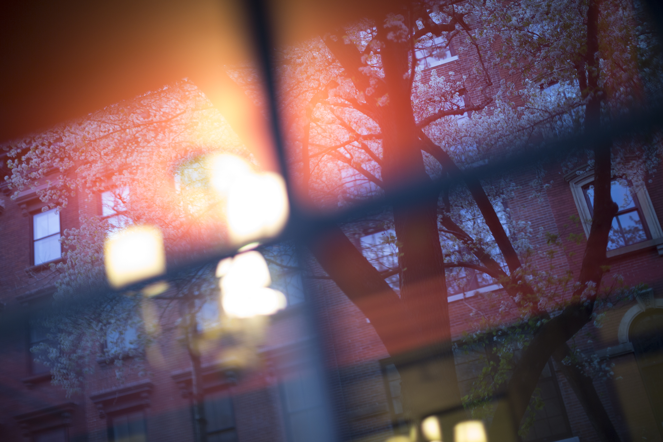 Saul Leiter: In Stillness 95, 2018  Archival pigment print  13 1/2 x 20 inches