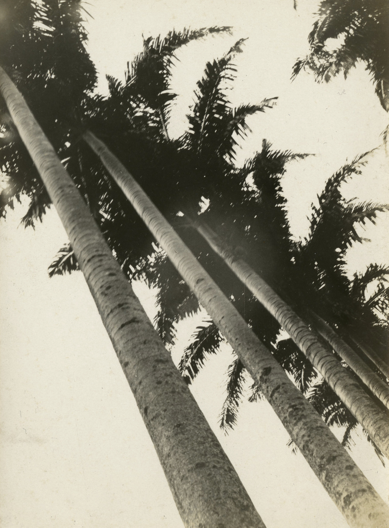 Iwao Yamawaki - Untitled, c.1930 - Howard Greenberg Gallery