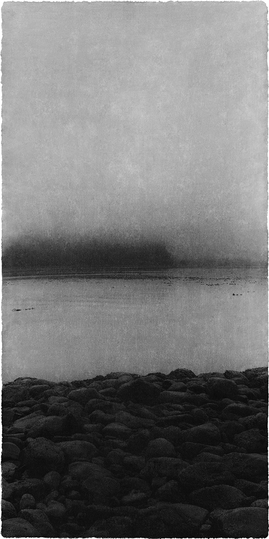 Opening #15, 2016  Archival pigment print on Korean Mulberry Paper; printed 2017  57 3/8 x 30 1/4 inches