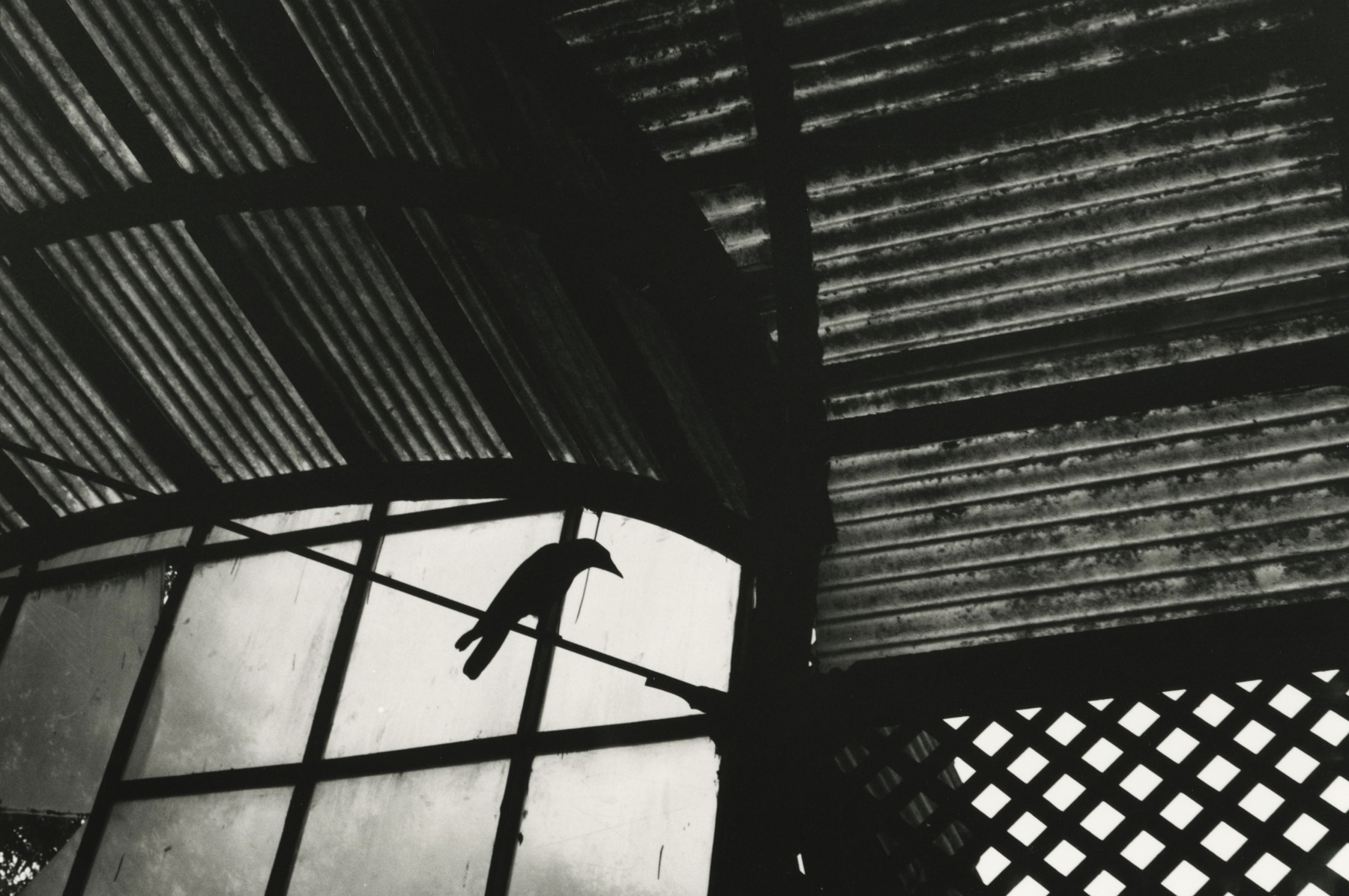 Betsy Karel - Byculla, Inside Victorian Gardens, 2006 - Howard Greenberg Gallery