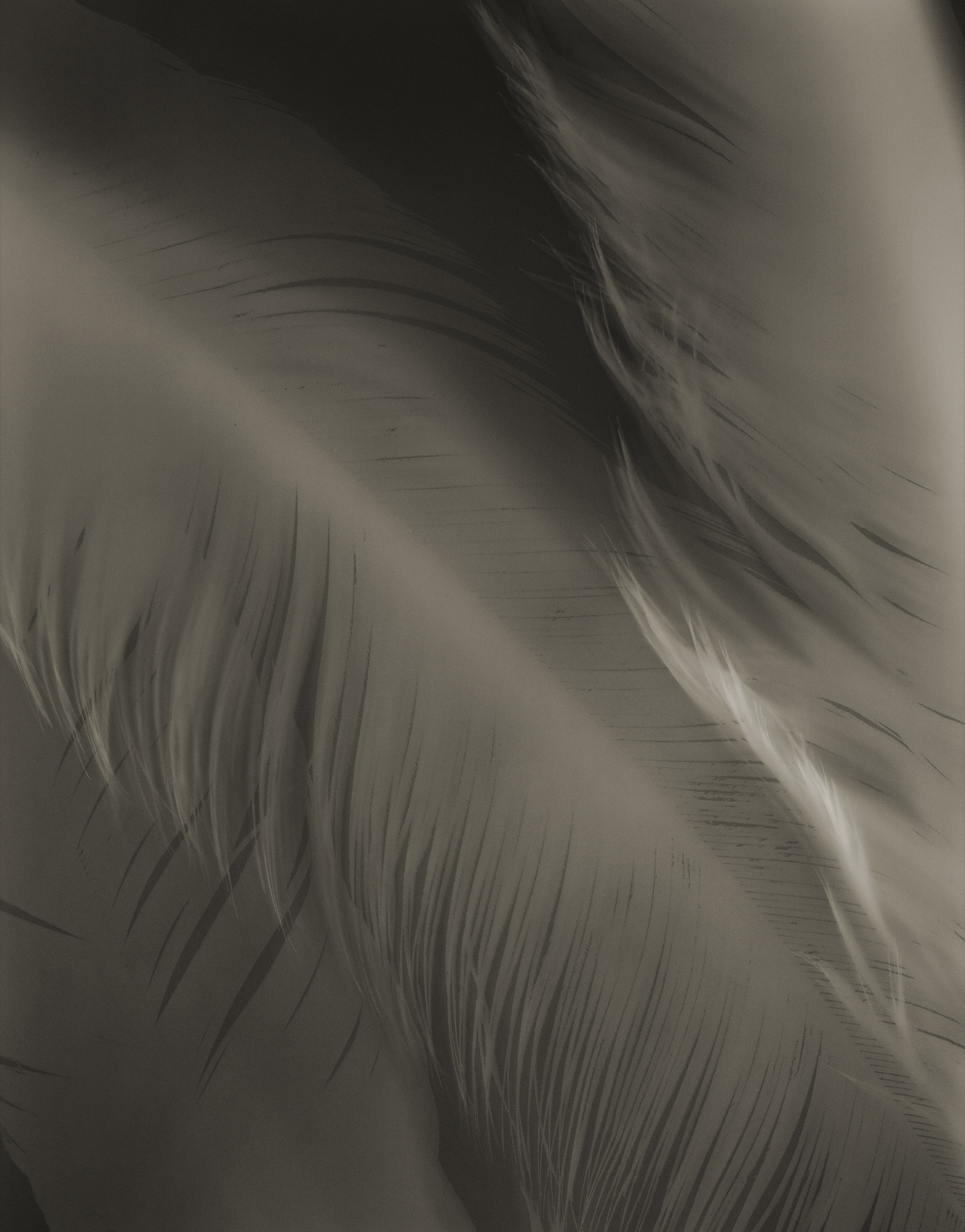 Yumiko Izu - Icarus - Howard Greenberg Gallery - 2018