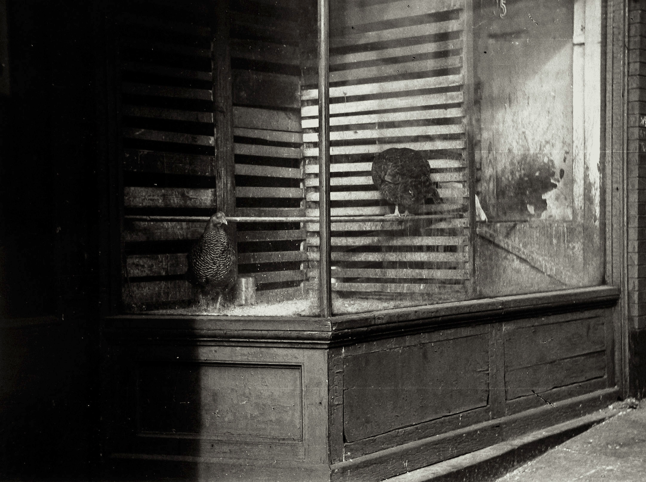 Luke Swank - Untitled, 1930s - Howard Greenberg Gallery