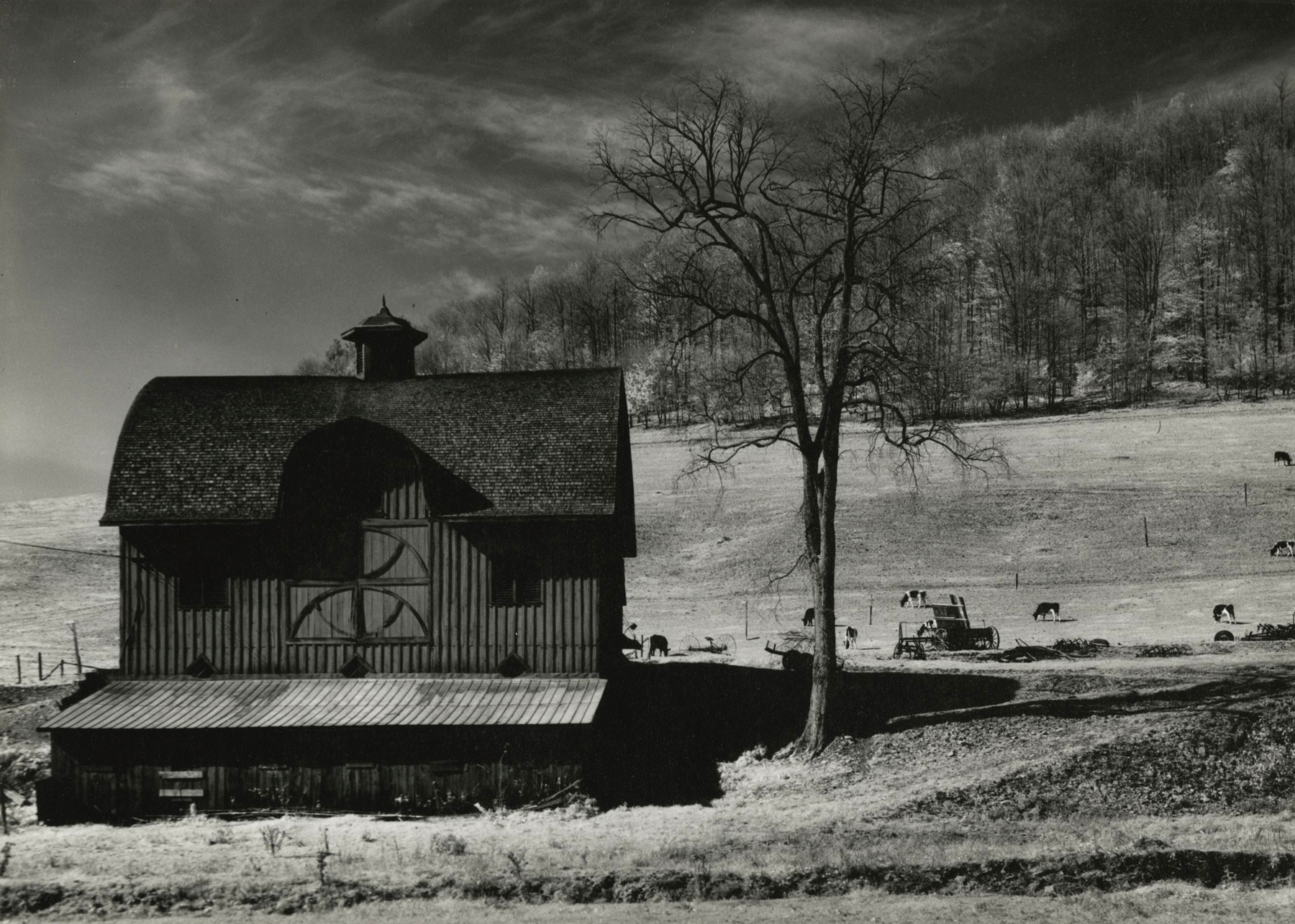 Minor White - Pennsylvania, 1955 - Howard Greenberg Gallery