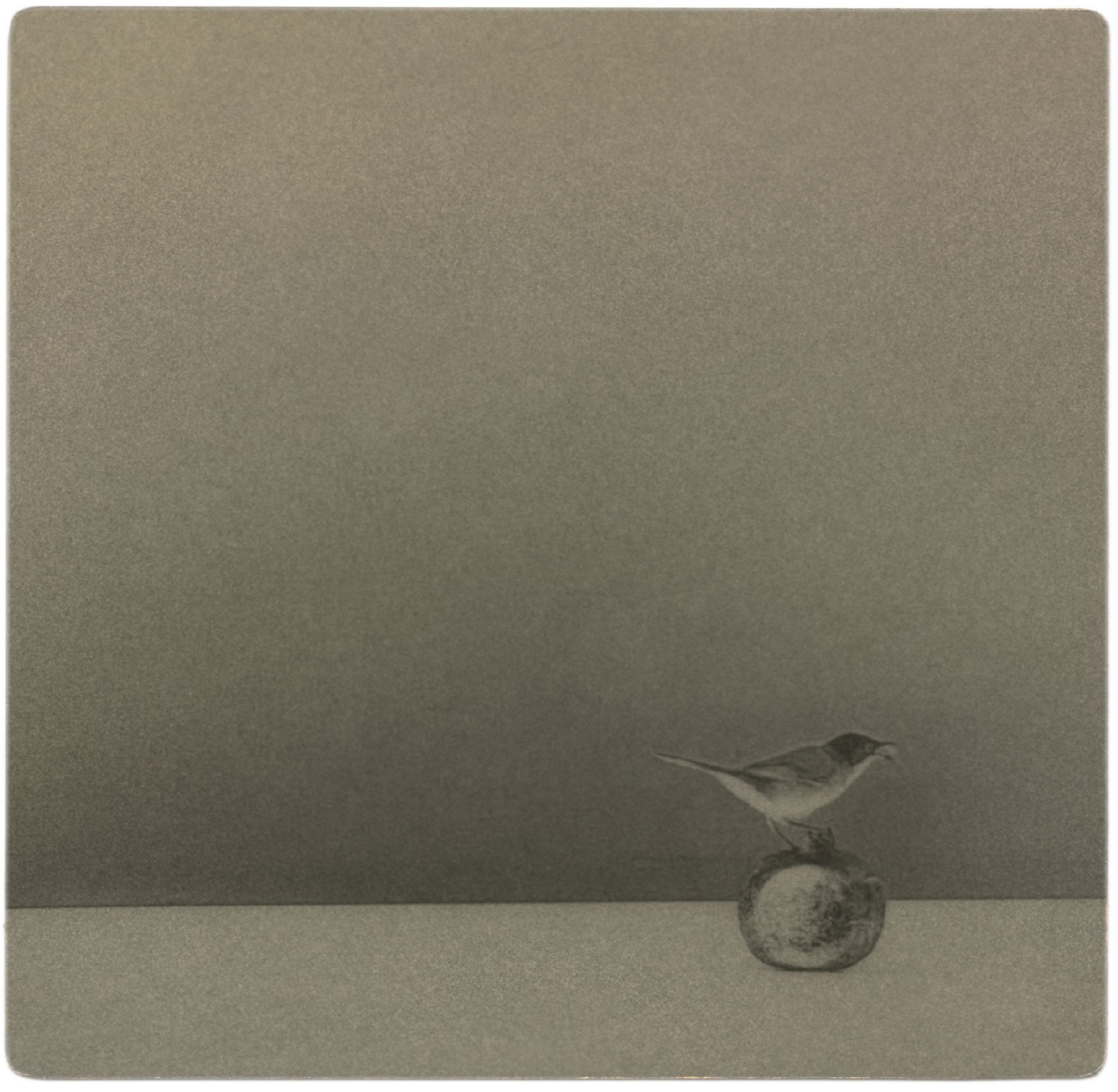 BK0604, 2020  Toned gelatin silver print  5 1/8 x 5 1/8 inches