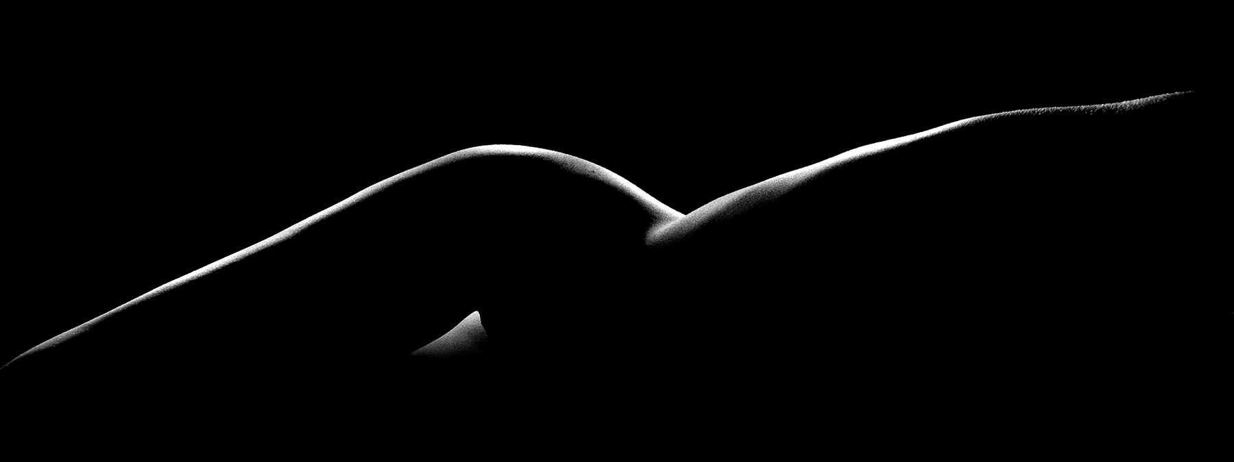 Simon Chaput - Una NY 28 L, 2002 - Howard Greenberg Gallery