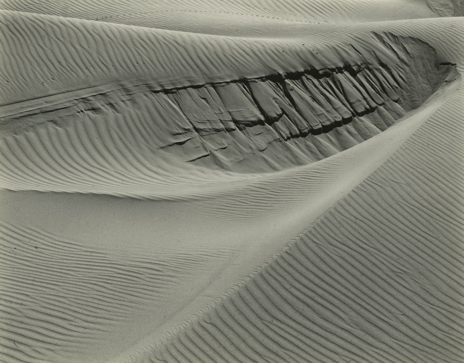 Edward Weston - Dunes at Oceano, 1936 - Howard Greenberg Gallery