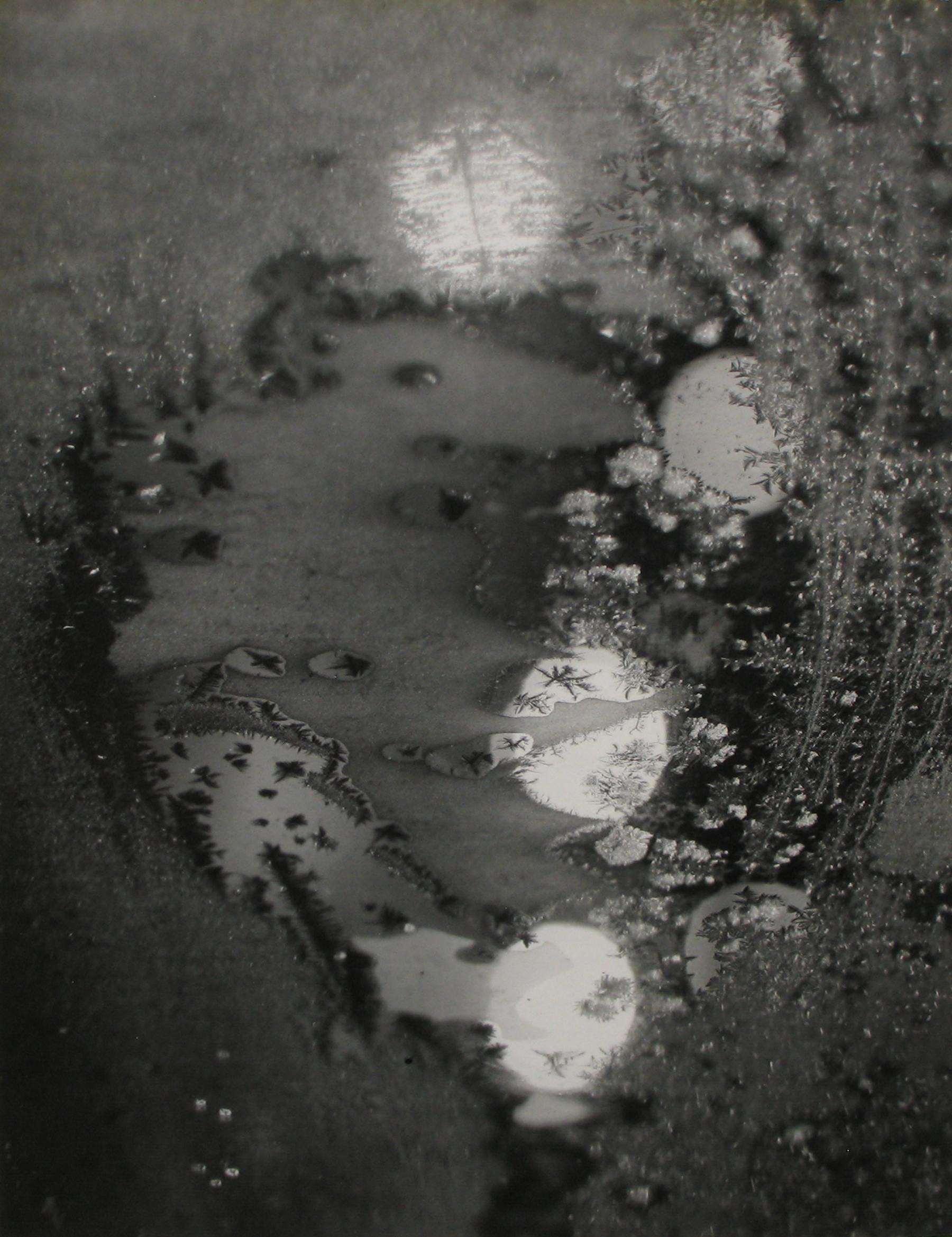 Minor White - Beginnings, 1962 - Howard Greenberg Gallery