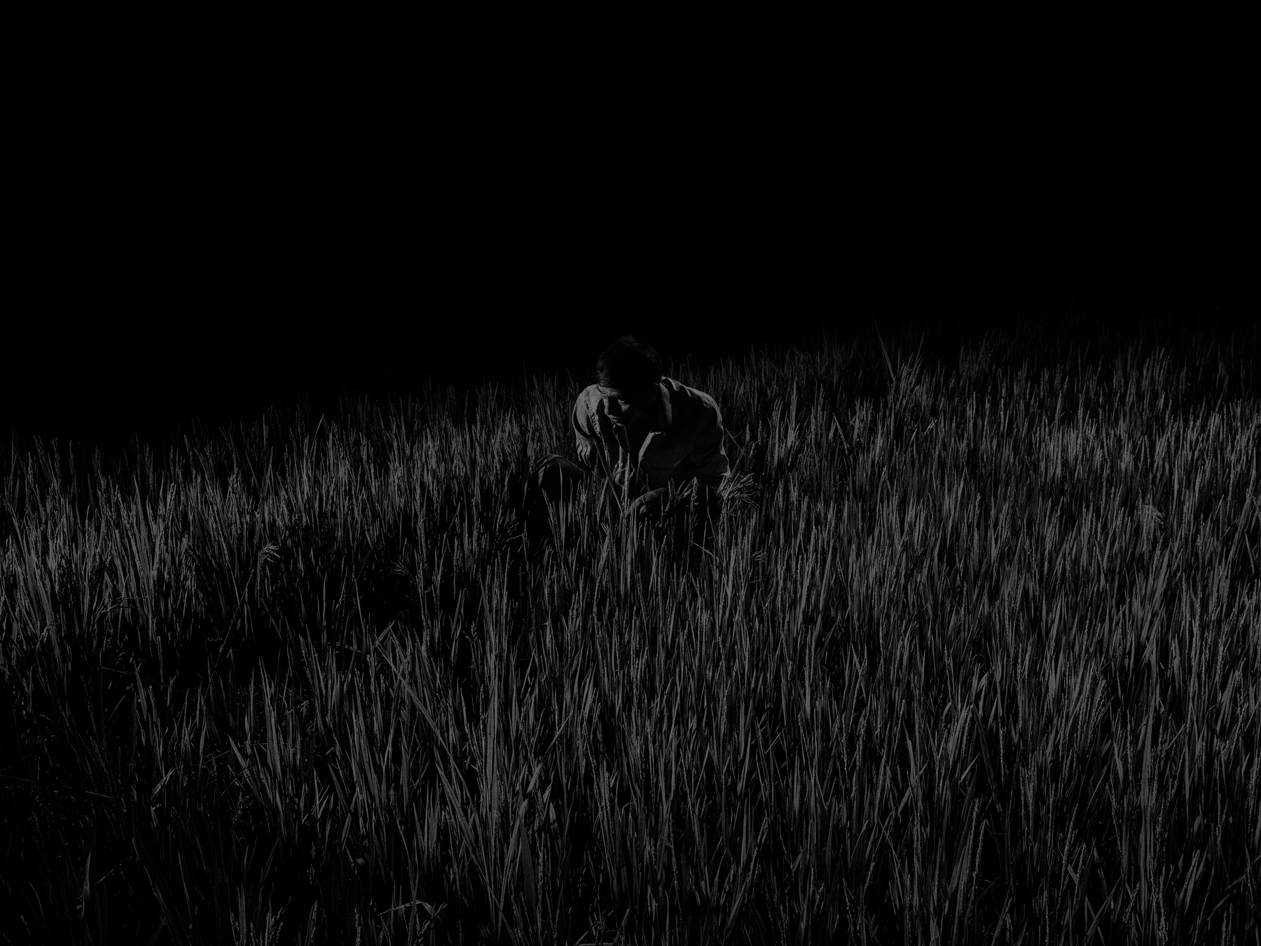 Alex Majoli, Scene #2233, Tulas Village, District of Sindhudurgh, India, 2015 Archival pigment print; printed 2016