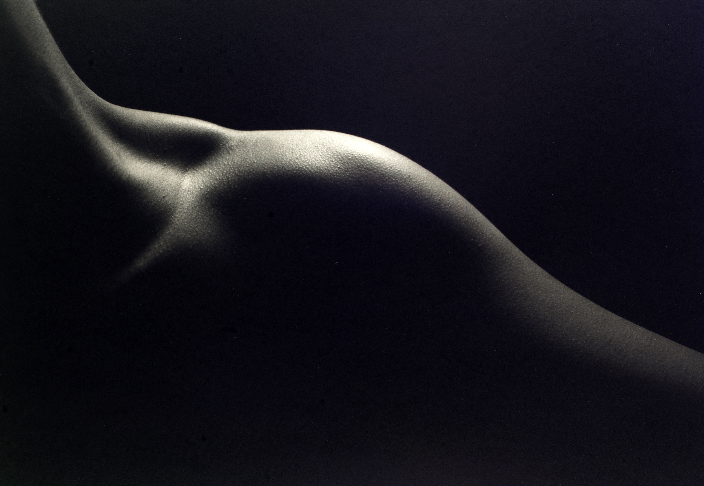 Kenro Izu - Still Life #773, 1998 - Howard Greenberg Gallery