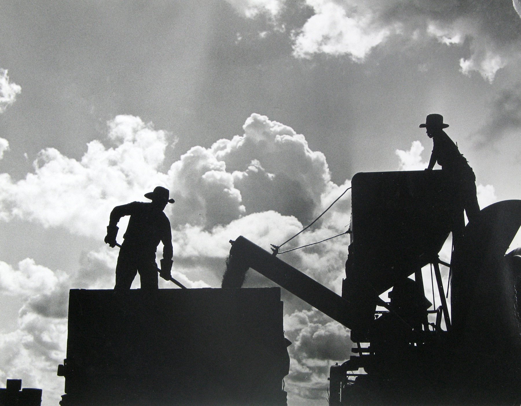 Esther Bubley - Rice being transferred from the combine to a truck in which it will be hauled to the drier - Howard Stagg farm near Beaumont, TX, 1945- Howard Greenberg Gallery