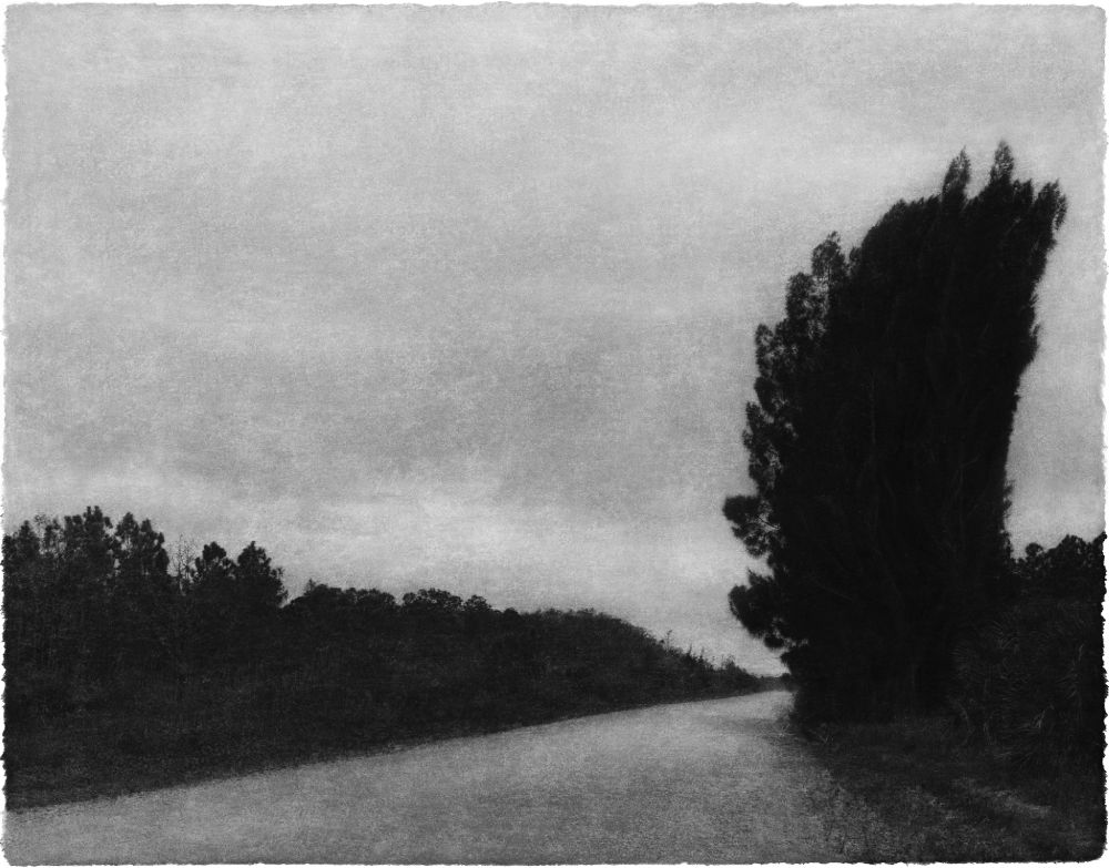 Everglades 23, 2014  Archival pigment print; printed 2017  54 x 43 inches