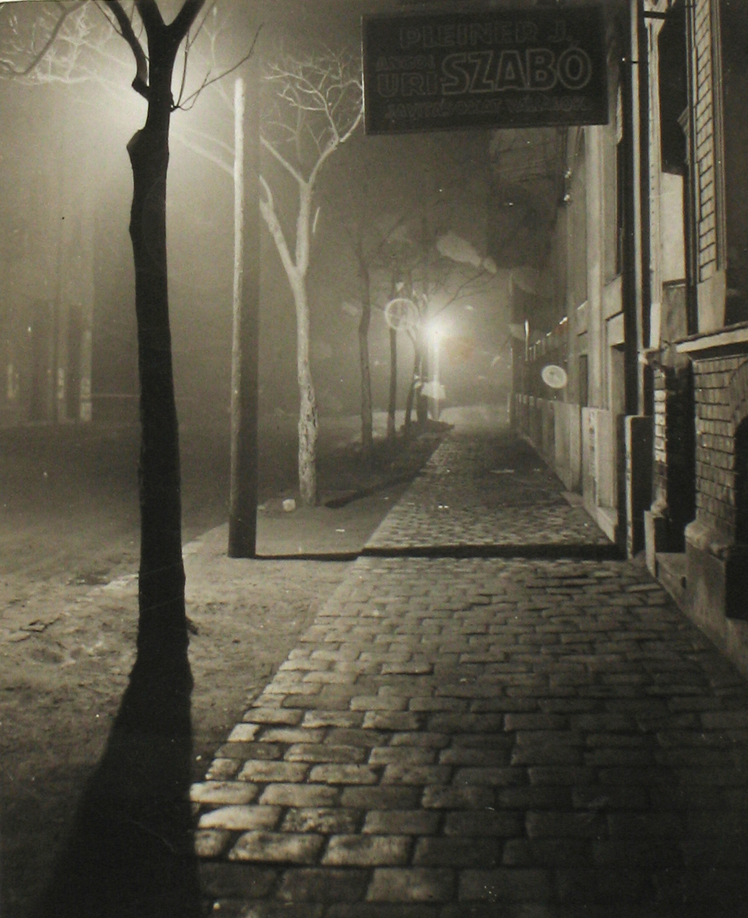 Imre Kinszki - Untitled, 1921-39 - Howard Greenberg Gallery