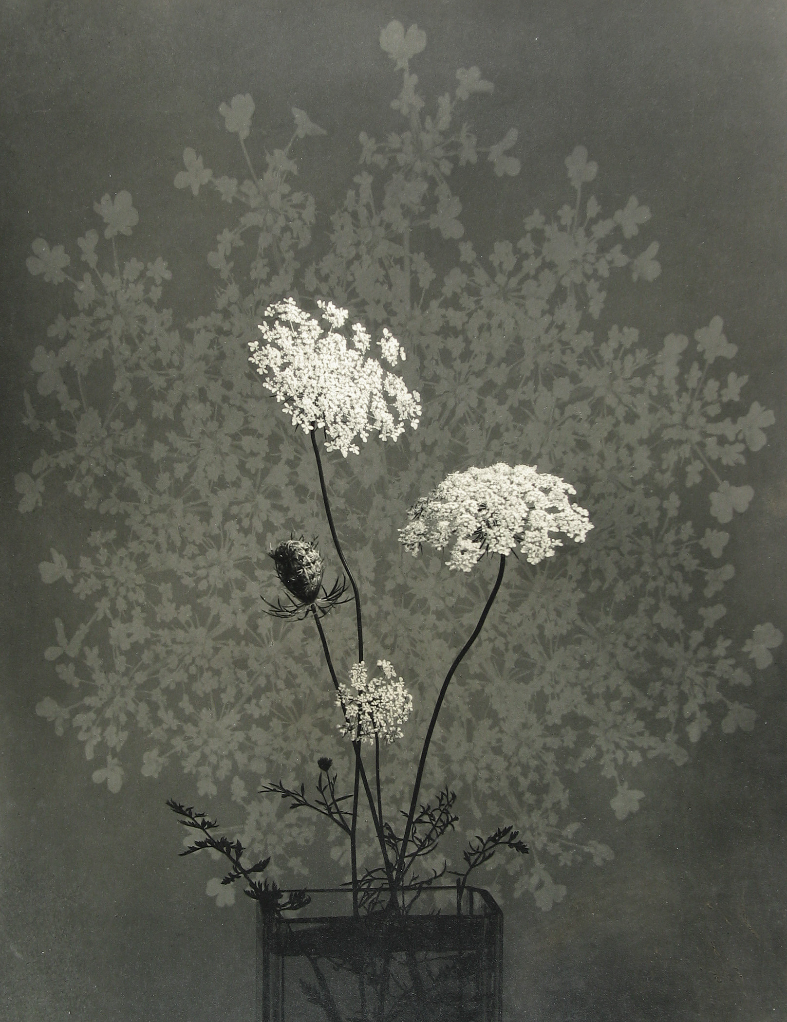 Adolf Fassbender - - Howard Greenberg Gallery