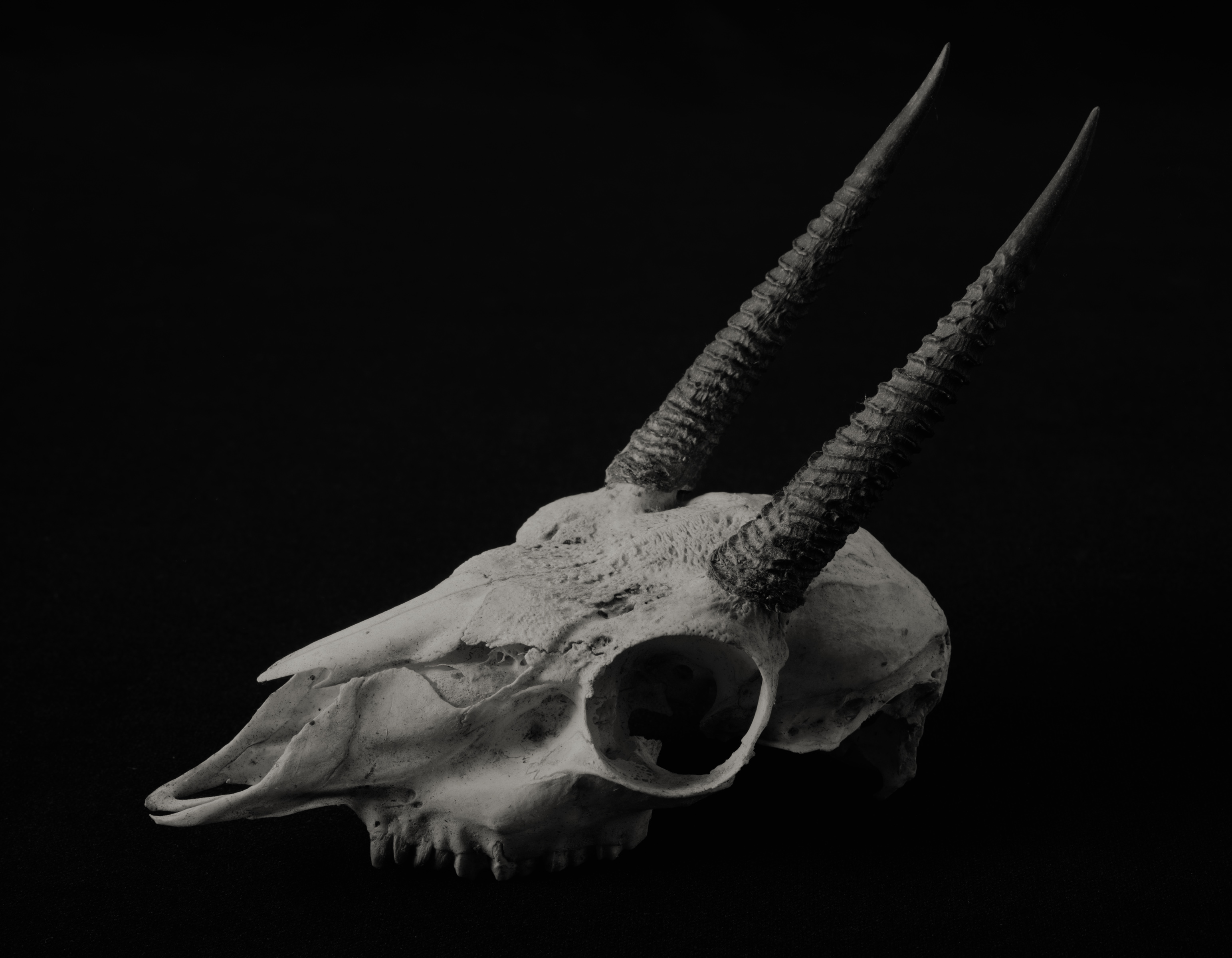 Yumiko Izu - Faraway 31, 2013 - Howard Greenberg Gallery