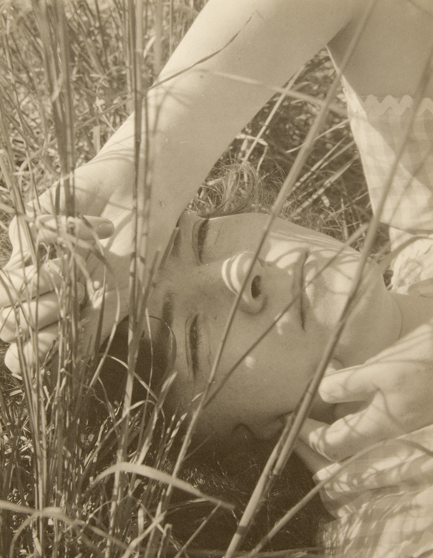 Dana Steichen, "The Blue Sky" Long Island, New York, 1923  Palladium print; printed c.1923  9 1/2 x 7 1/2 inches