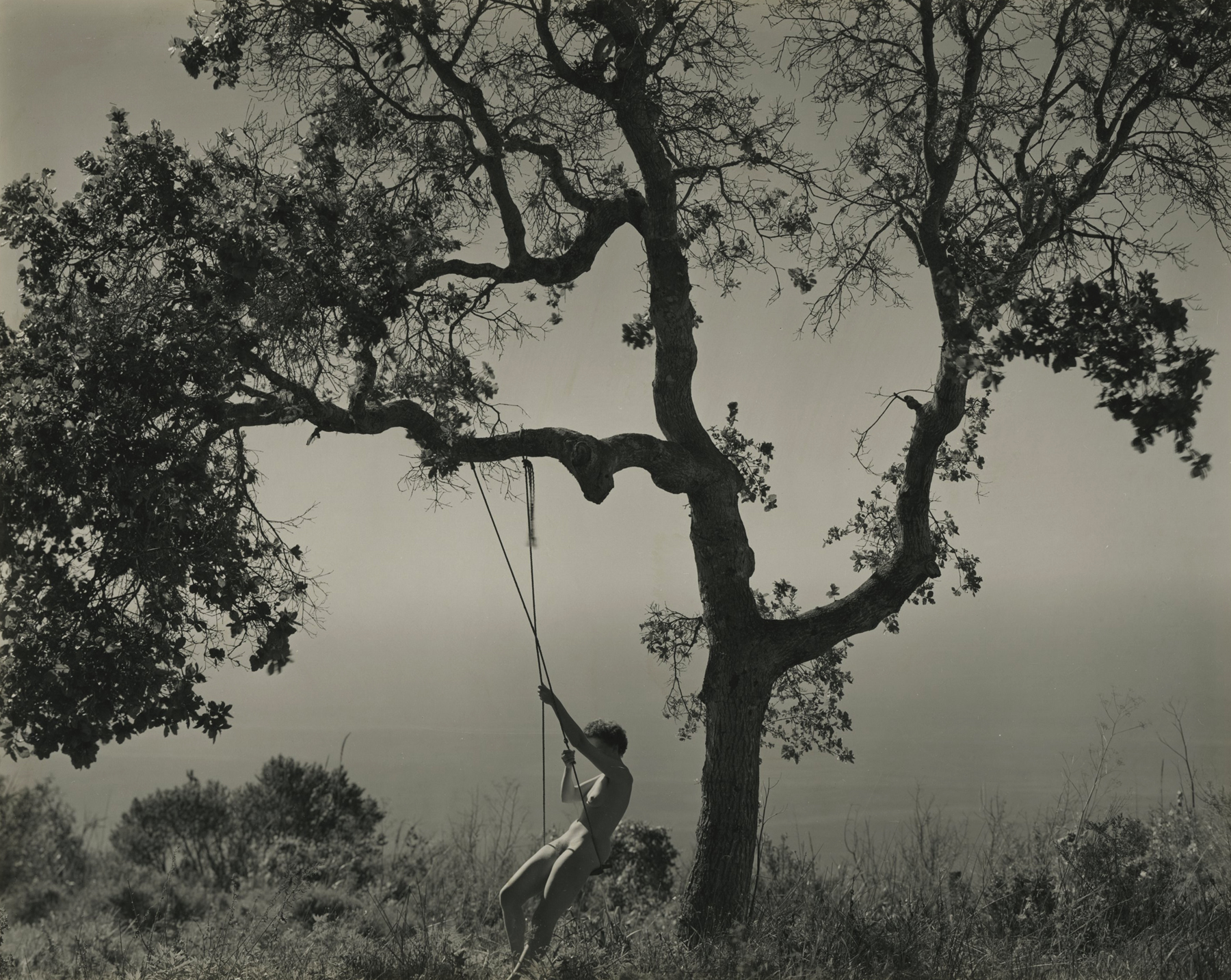 Edward Weston Howard Greenberg Gallery