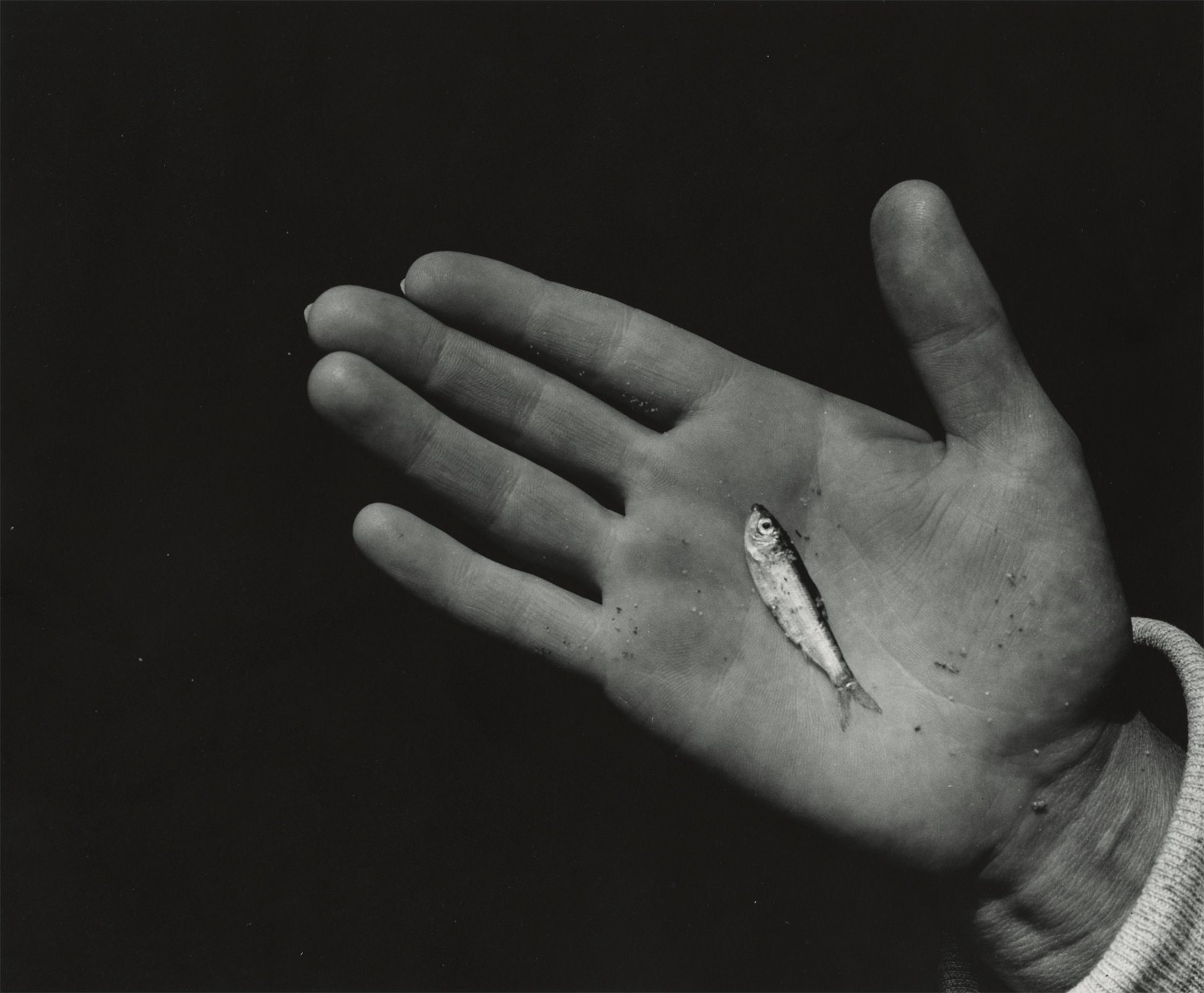 Aaron Siskind - Untitled, 1939 - Howard Greenberg Gallery