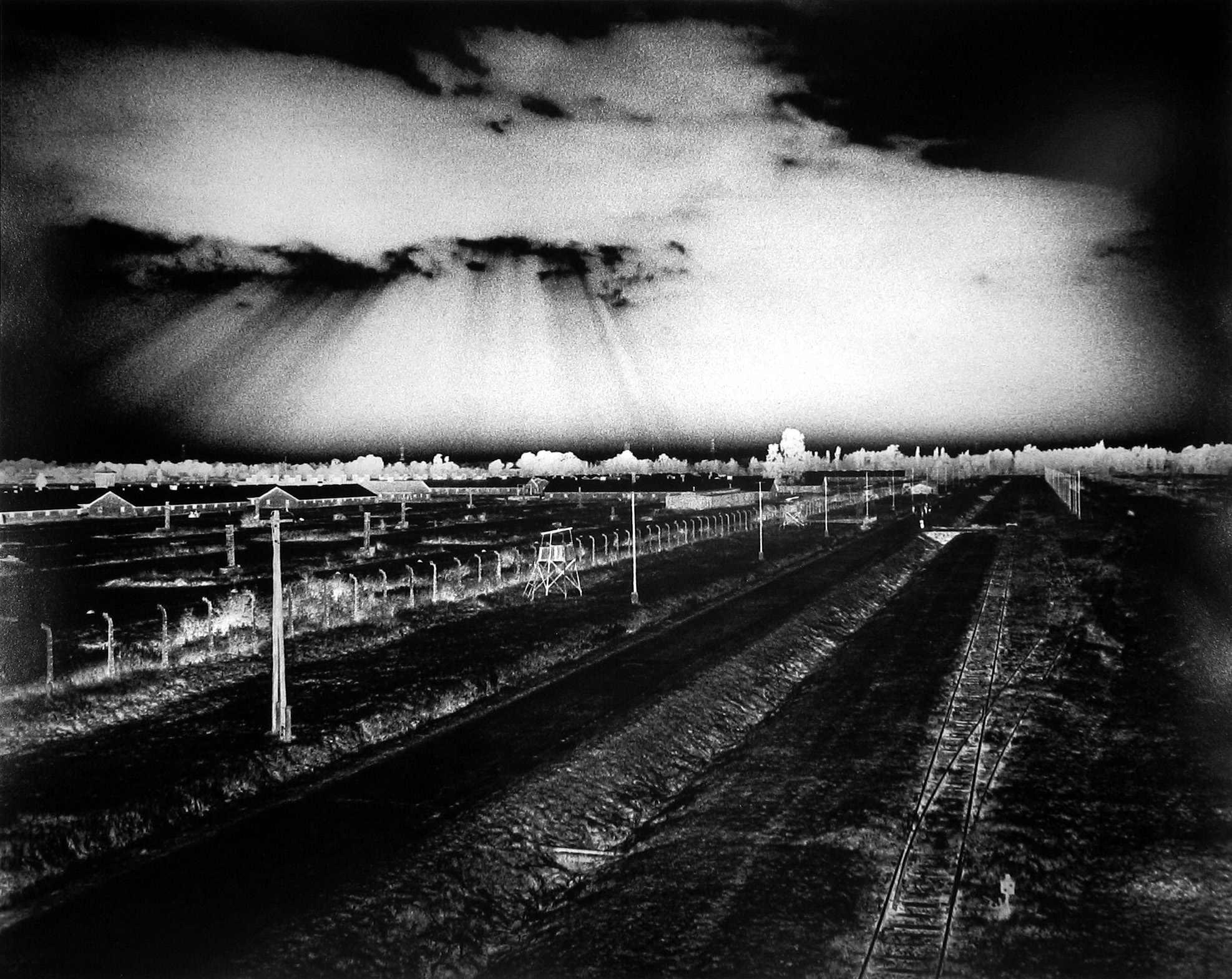 Judith Glickman - Why Did the Heavens Not Darken? View of Birkenau Extermination Camp, Poland, 1991 - Howard Greenberg Gallery