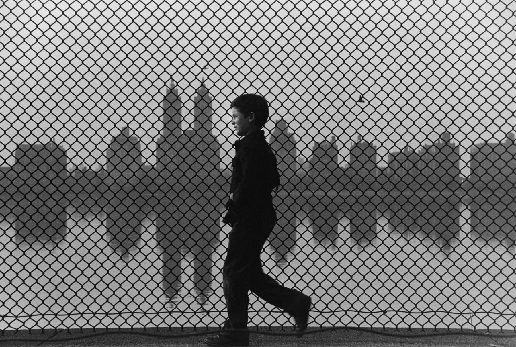 Ruth Orkin - Boy and Fence, Central Park, 1965 - Howard Greenberg Gallery