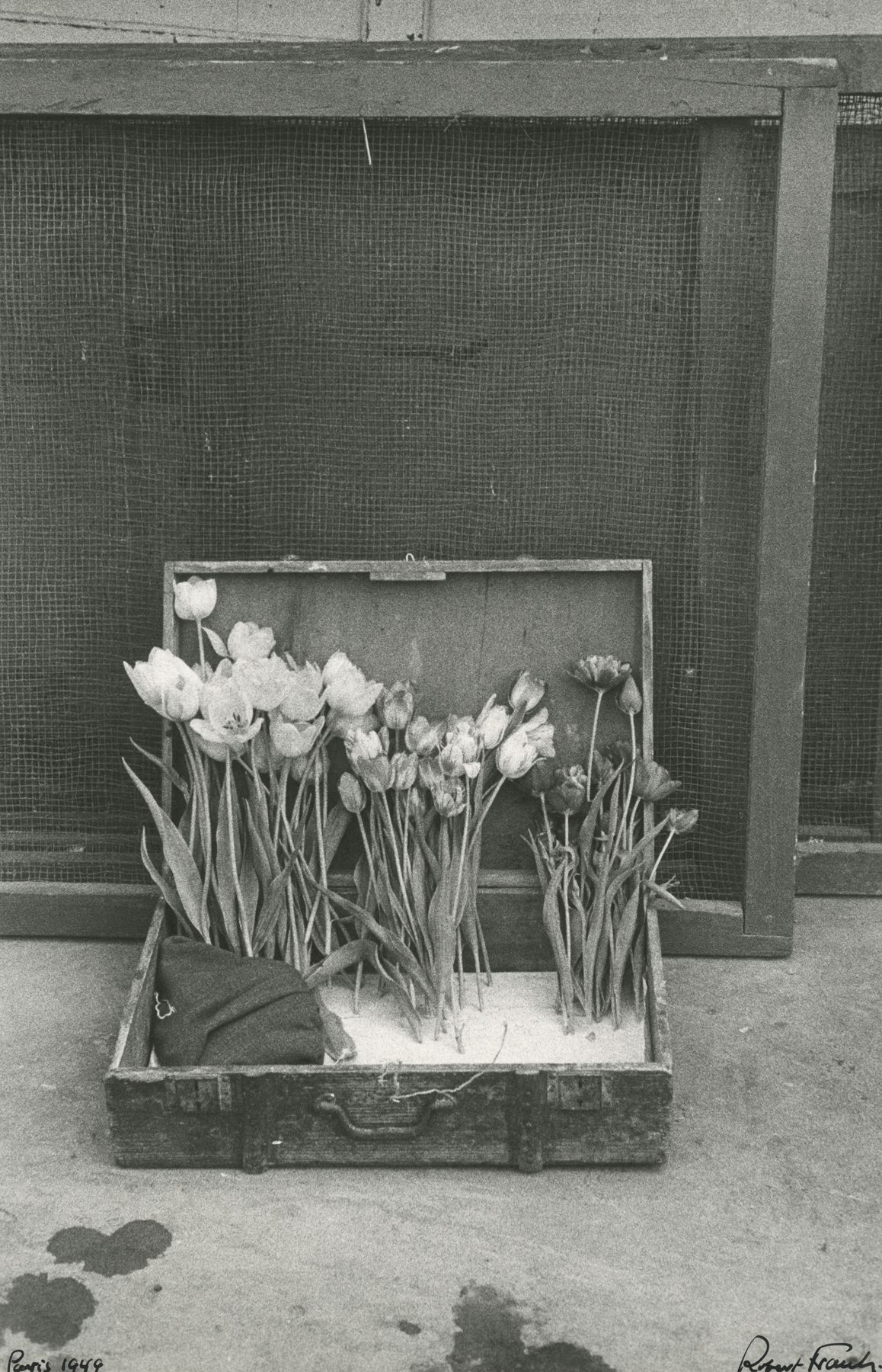 Paris, 1949  Gelatin silver print; printed 1978  14 x 11 inches