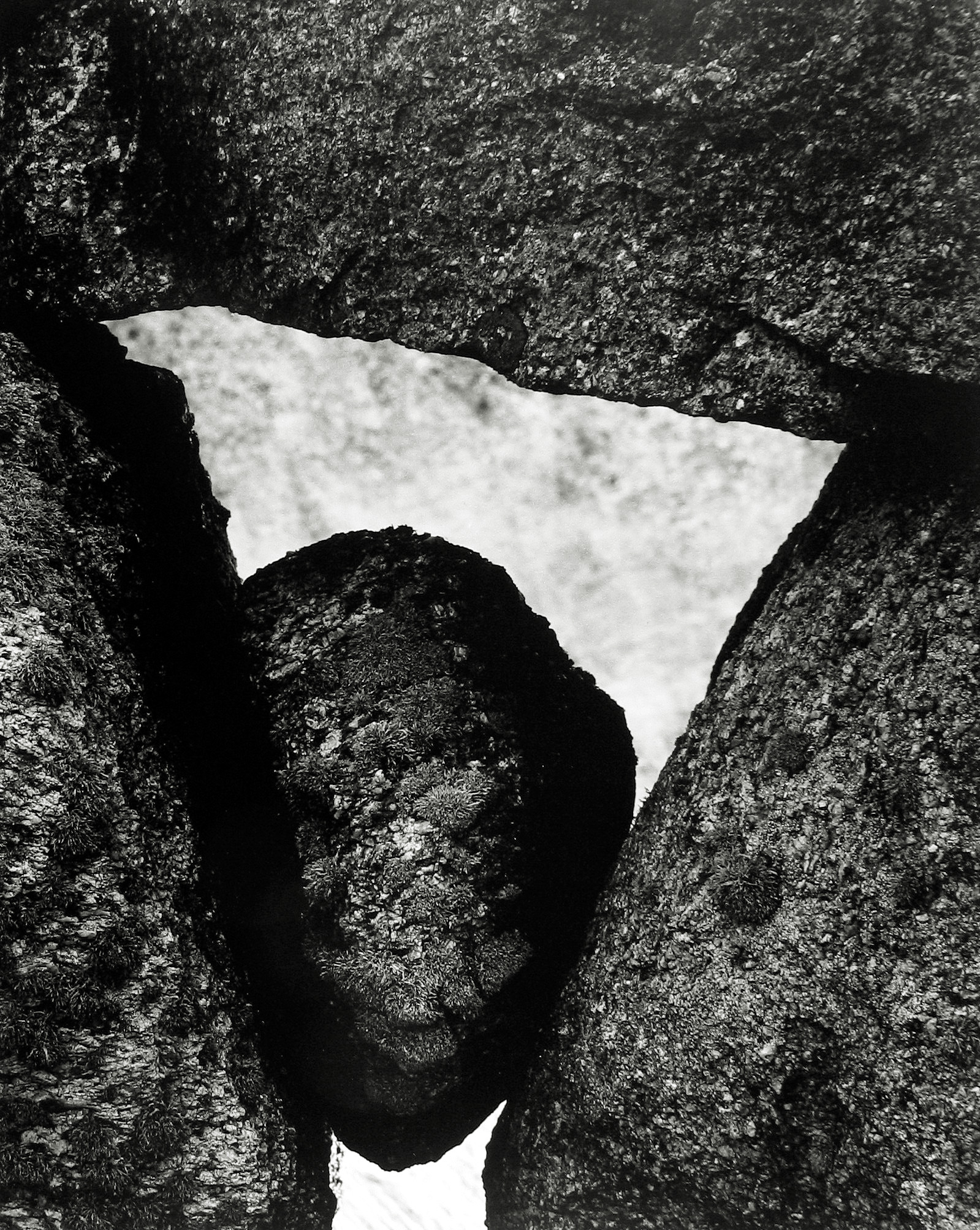 Aaron Siskind - Martha's Vineyard 112, 1954 - Howard Greenberg Gallery