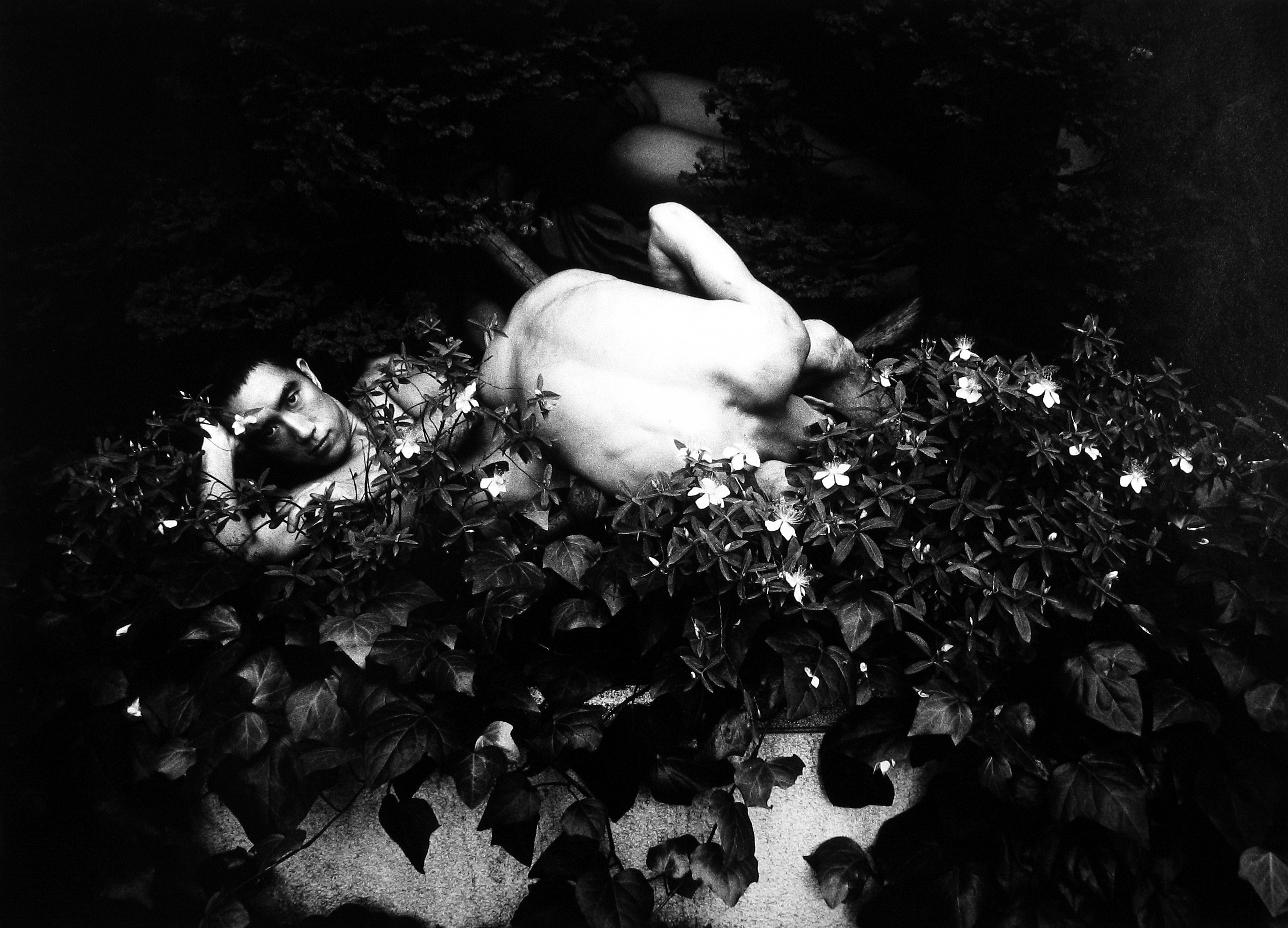 Eikoh Hosoe - Ordeal by Roses (Barakei) #15, 1961 - Howard Greenberg Gallery