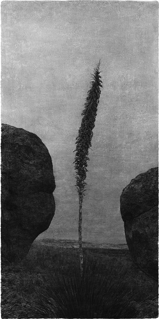 Opening #35, 2016  Archival pigment print on Korean Mulberry Paper  57 3/8 x 30 inches