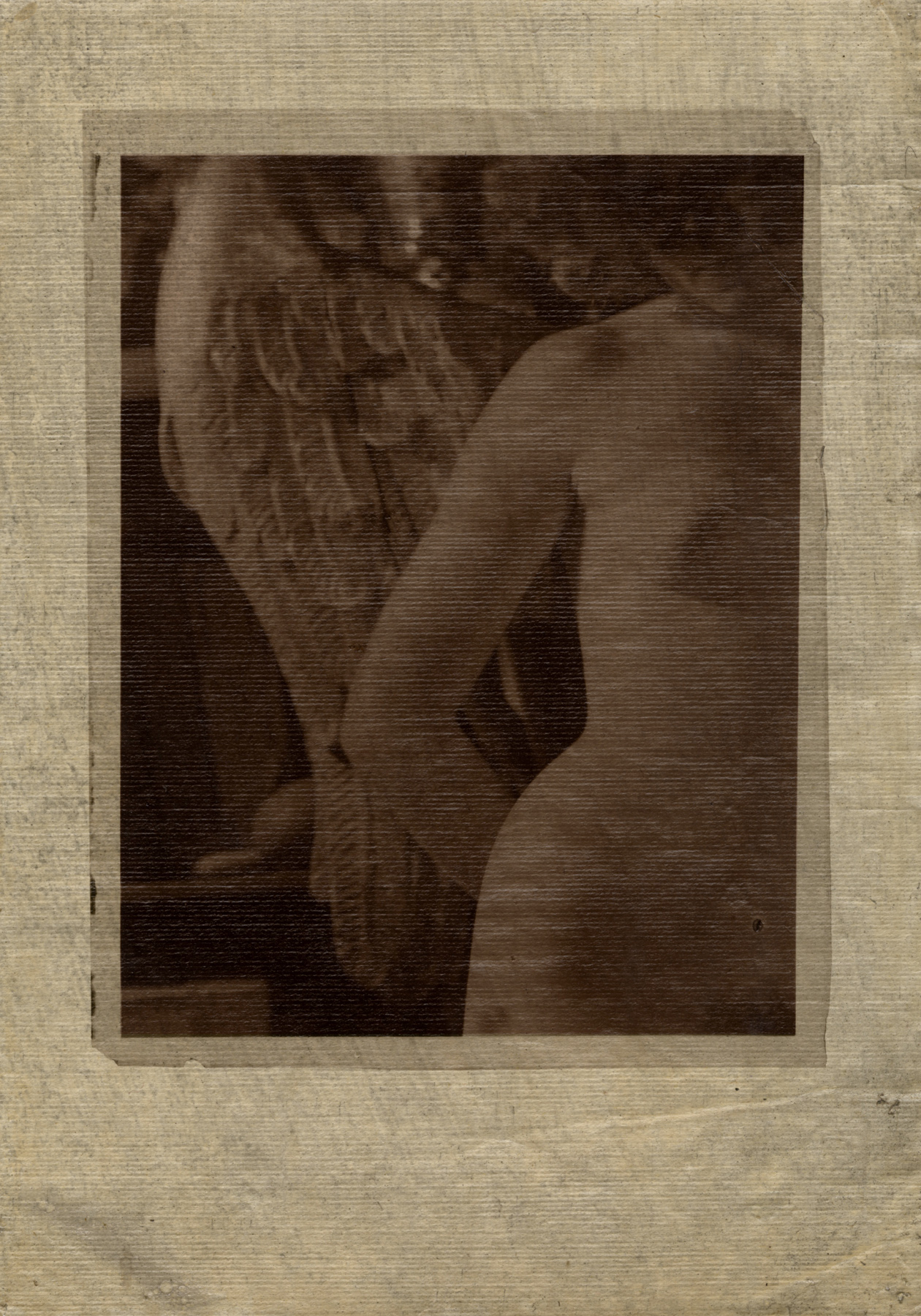 Josef Sudek - Detail with Baroque Wing, 1953 - Howard Greenberg Gallery