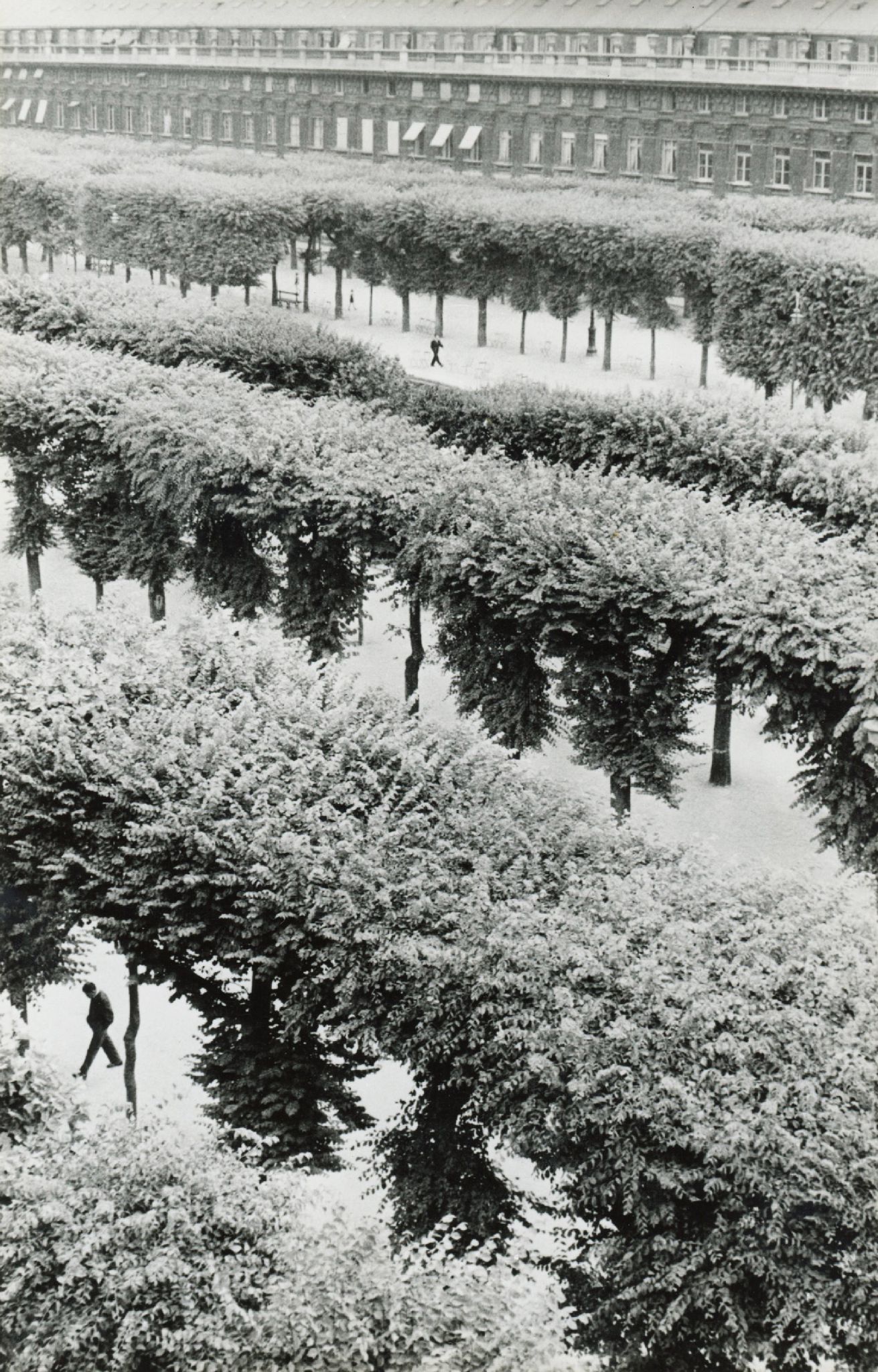 Gardens of the Palais-Royal, Paris, France, 1960  Gelatin silver print; printed 1961  13 3/8 x 9 1/2 inches